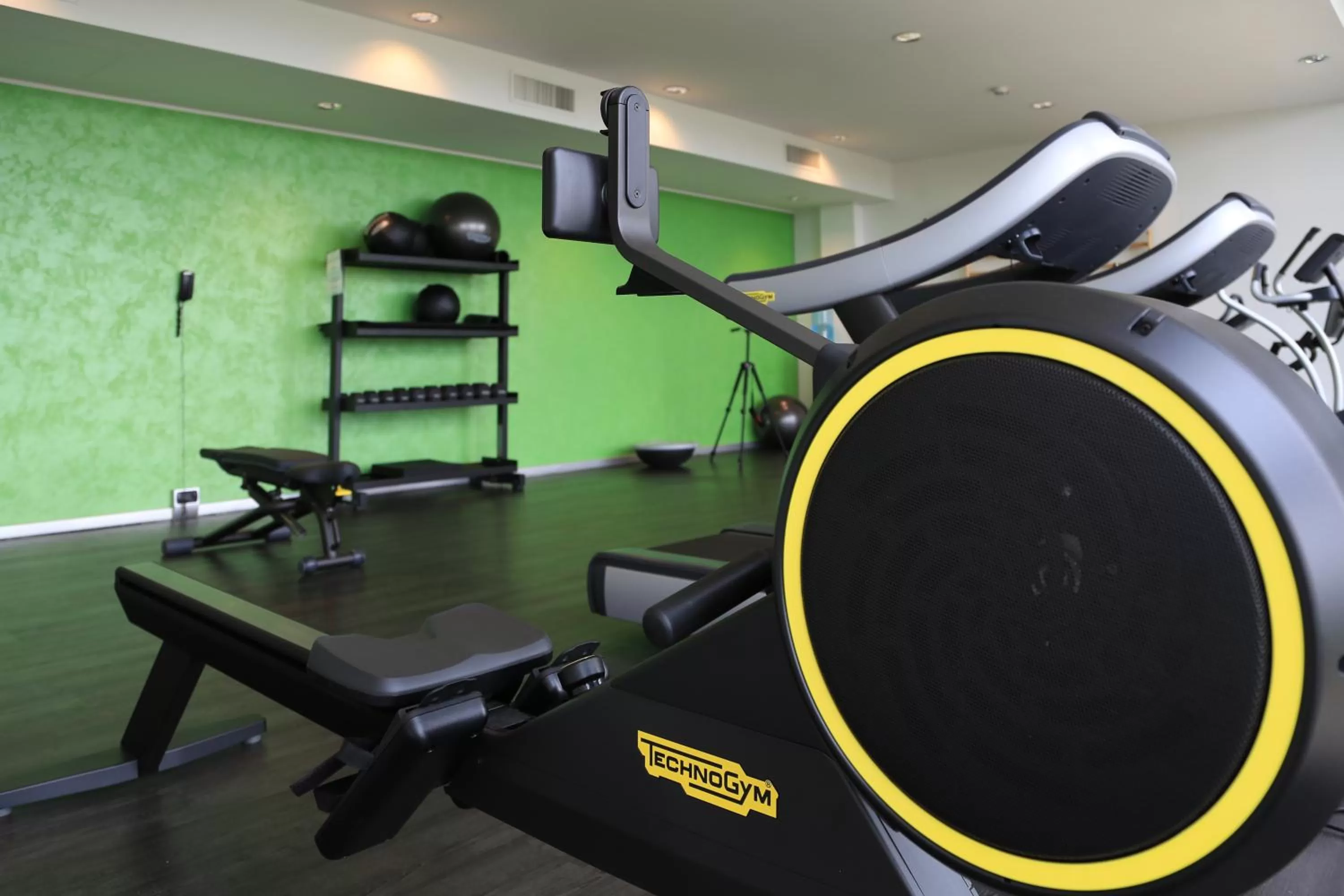 Fitness centre/facilities in Klima Hotel Milano Fiere