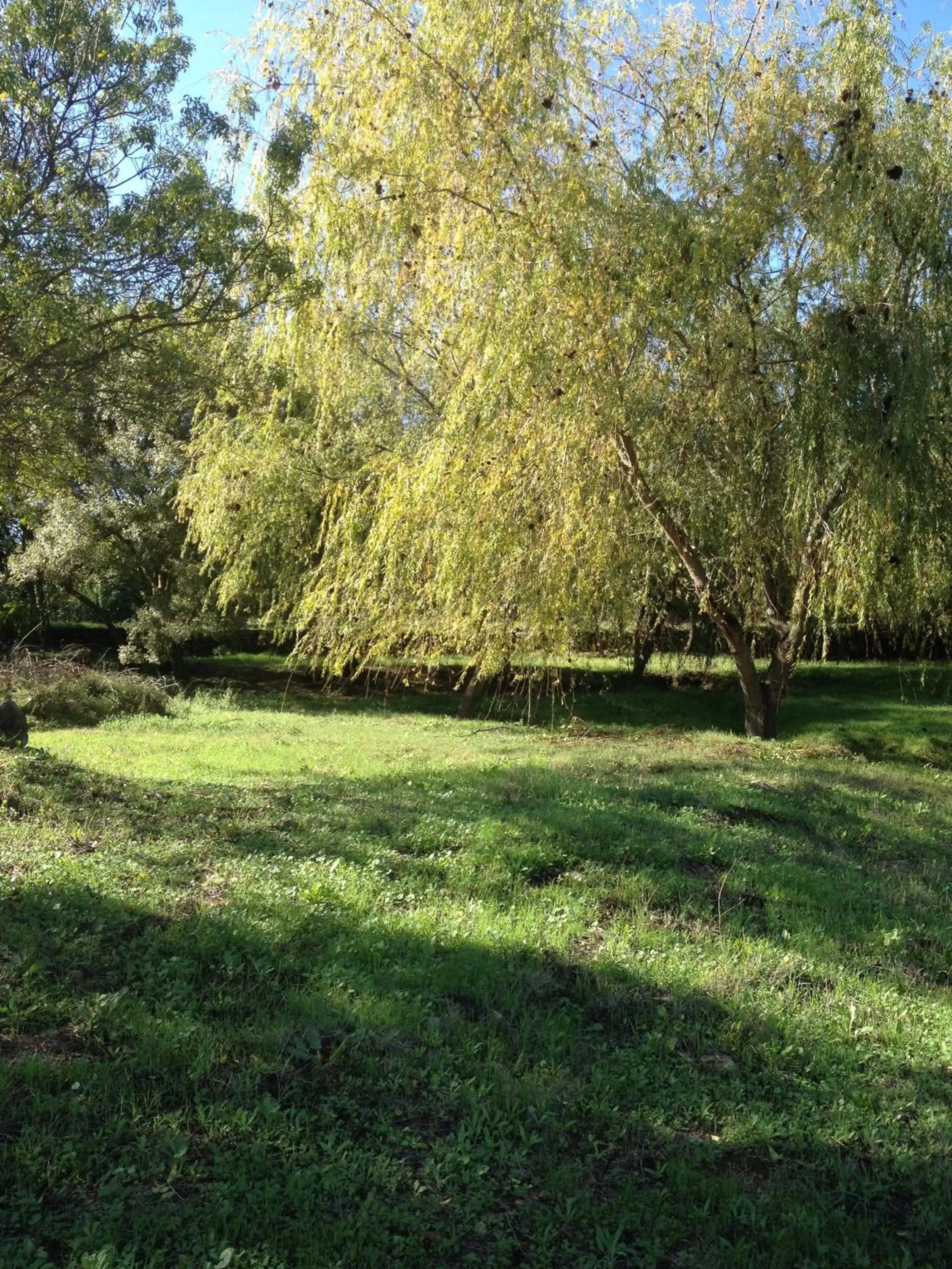Garden in Hotel Rural Monte da Provença