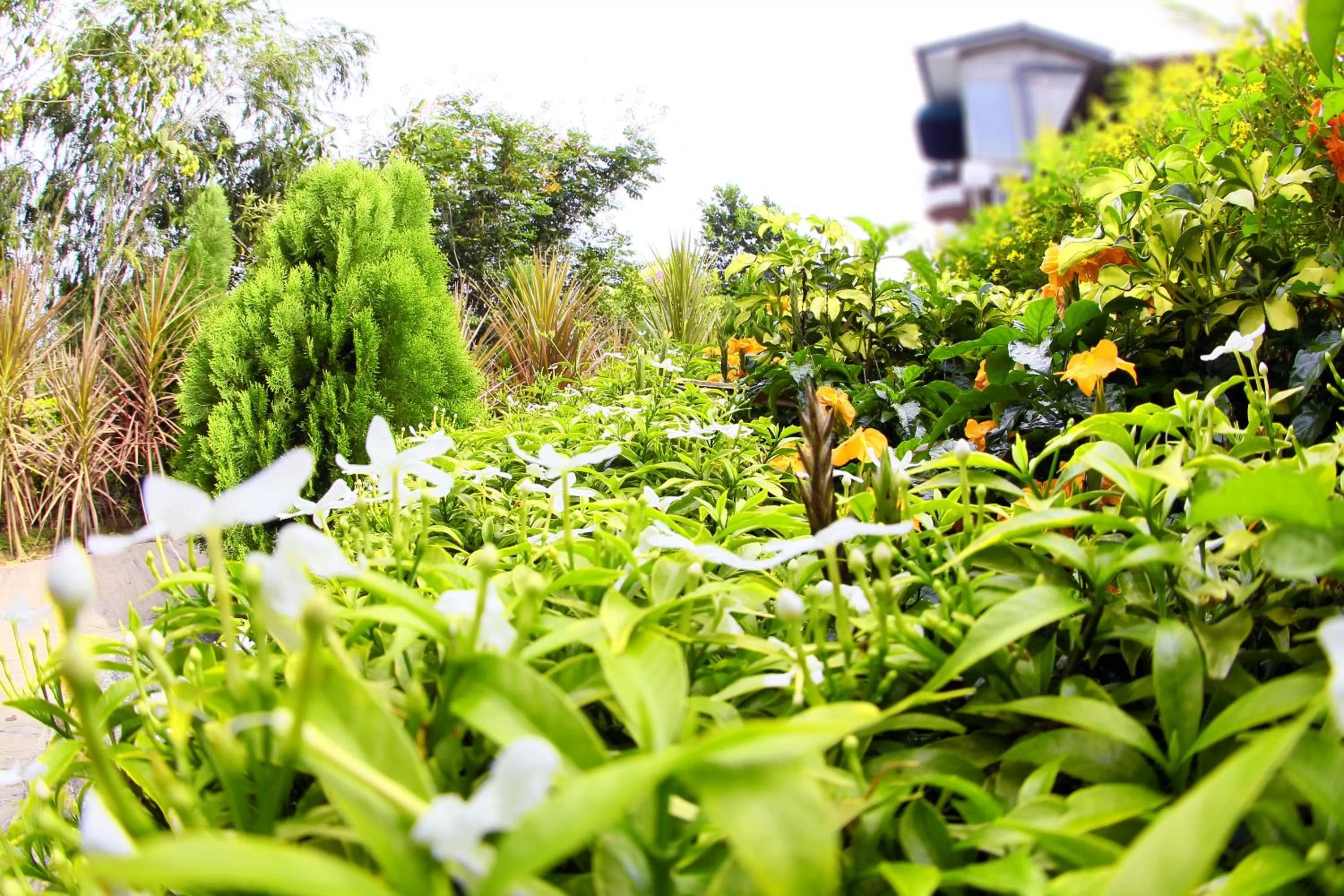 Opulent River Face Hotel