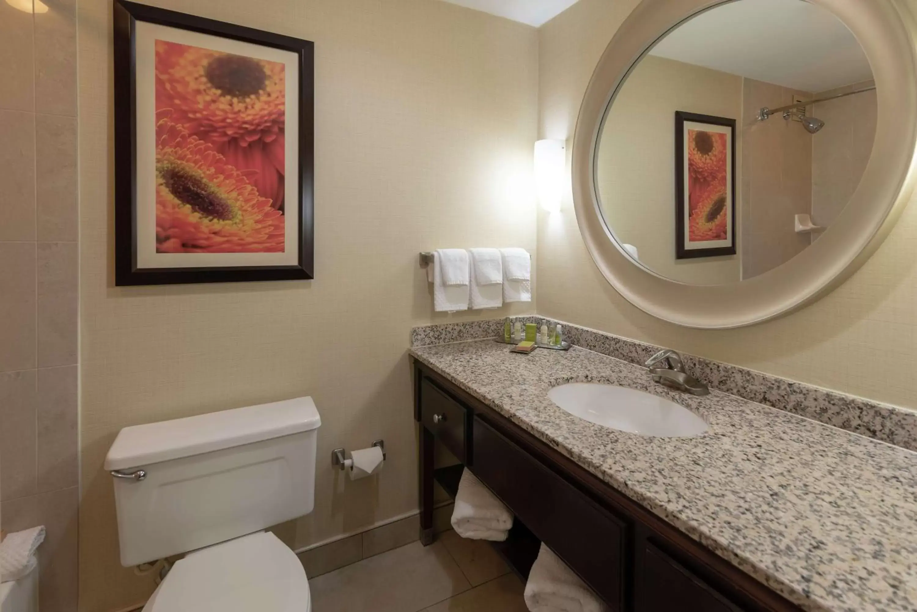 Bathroom in DoubleTree by Hilton Norfolk Airport