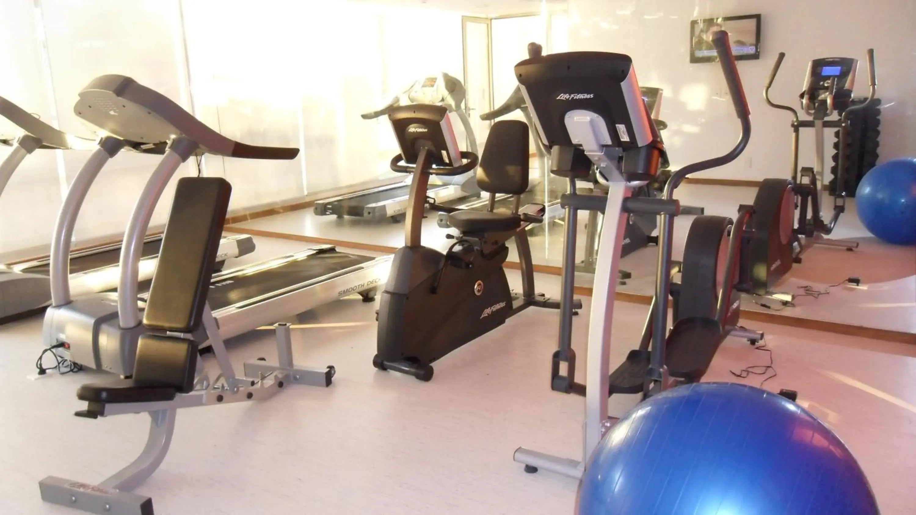 Fitness centre/facilities in Real Colonia Hotel & Suites Fitness centre/facilities in Real Colonia Hotel & Suites