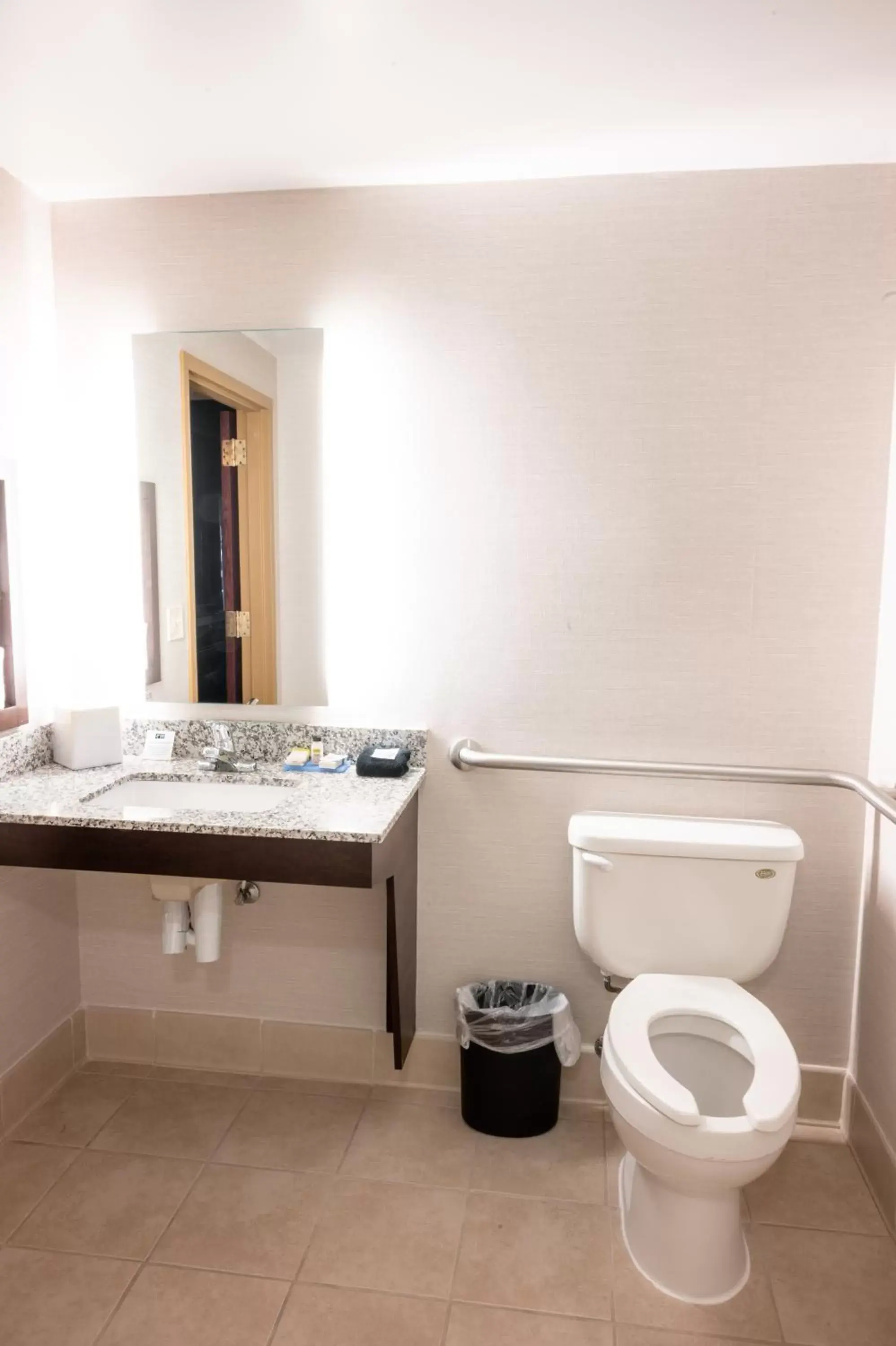 Bathroom in Holiday Inn Express & Suites - Tuscaloosa-University, an IHG Hotel