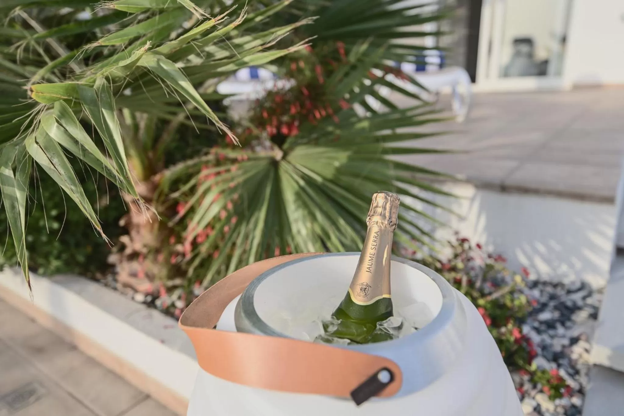 Drinks in Villa Boutique Tenerife