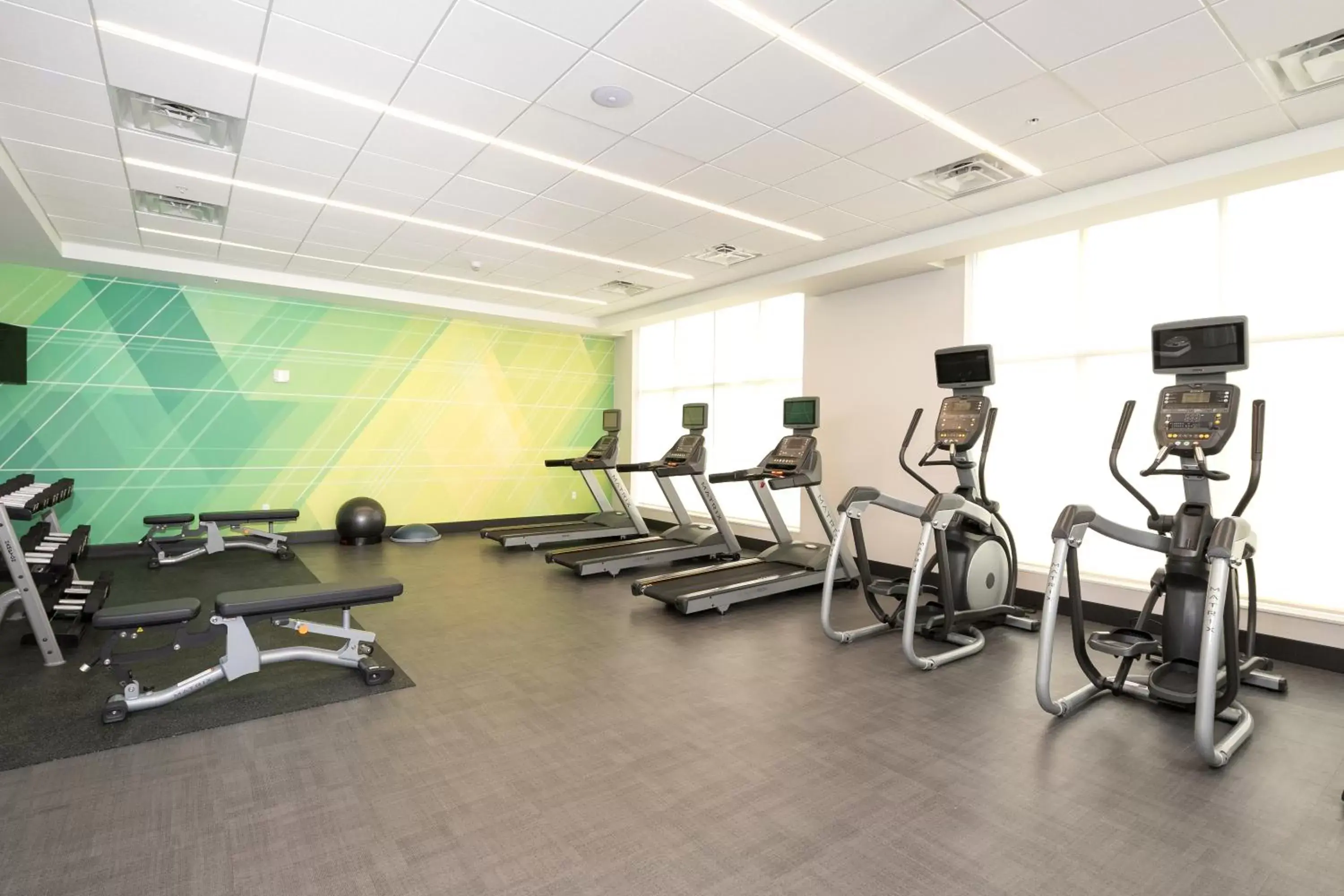 Fitness centre/facilities, Fitness Center/Facilities in Holiday Inn & Suites Detroit - Troy, an IHG Hotel