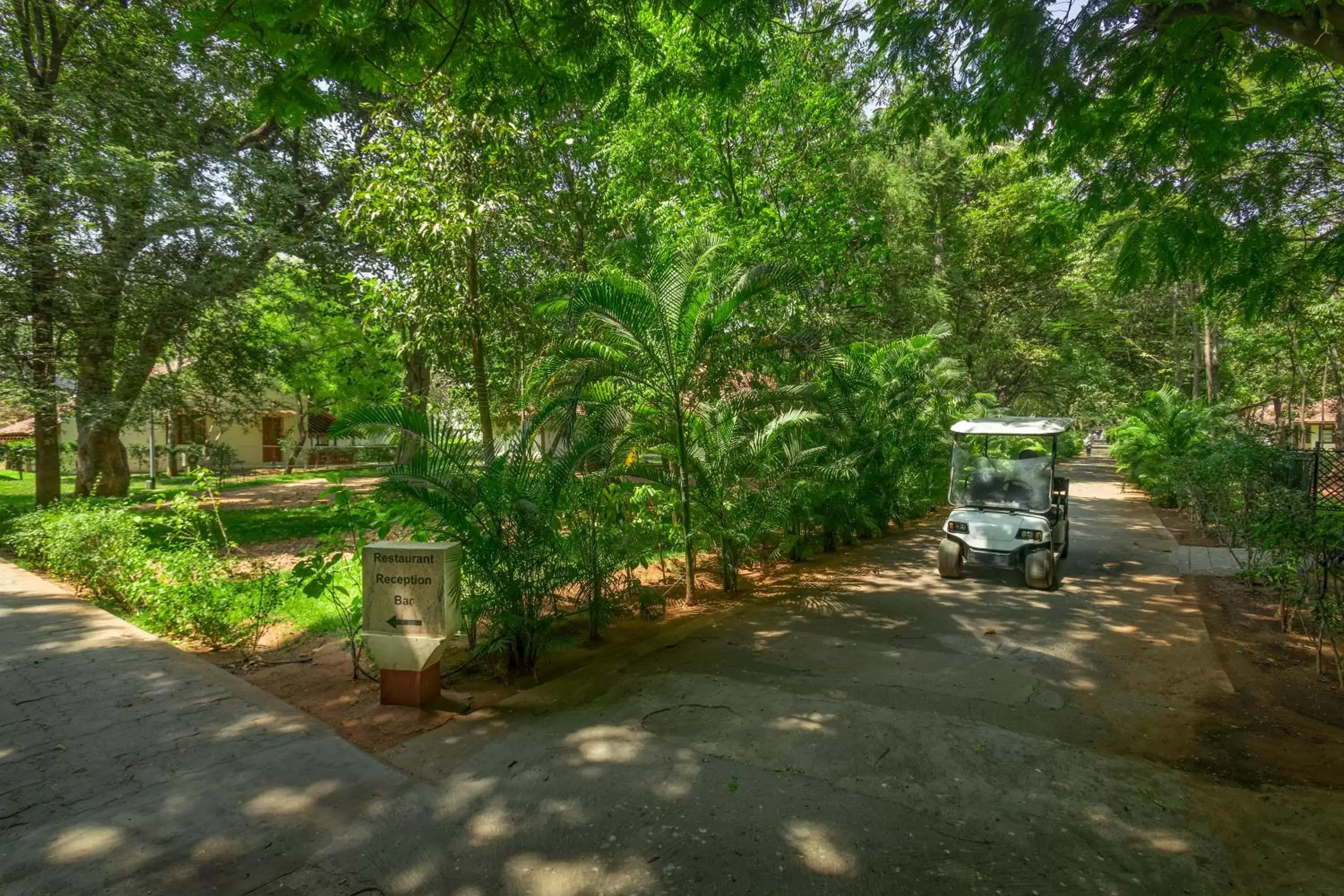 Garden in Heritage Madurai