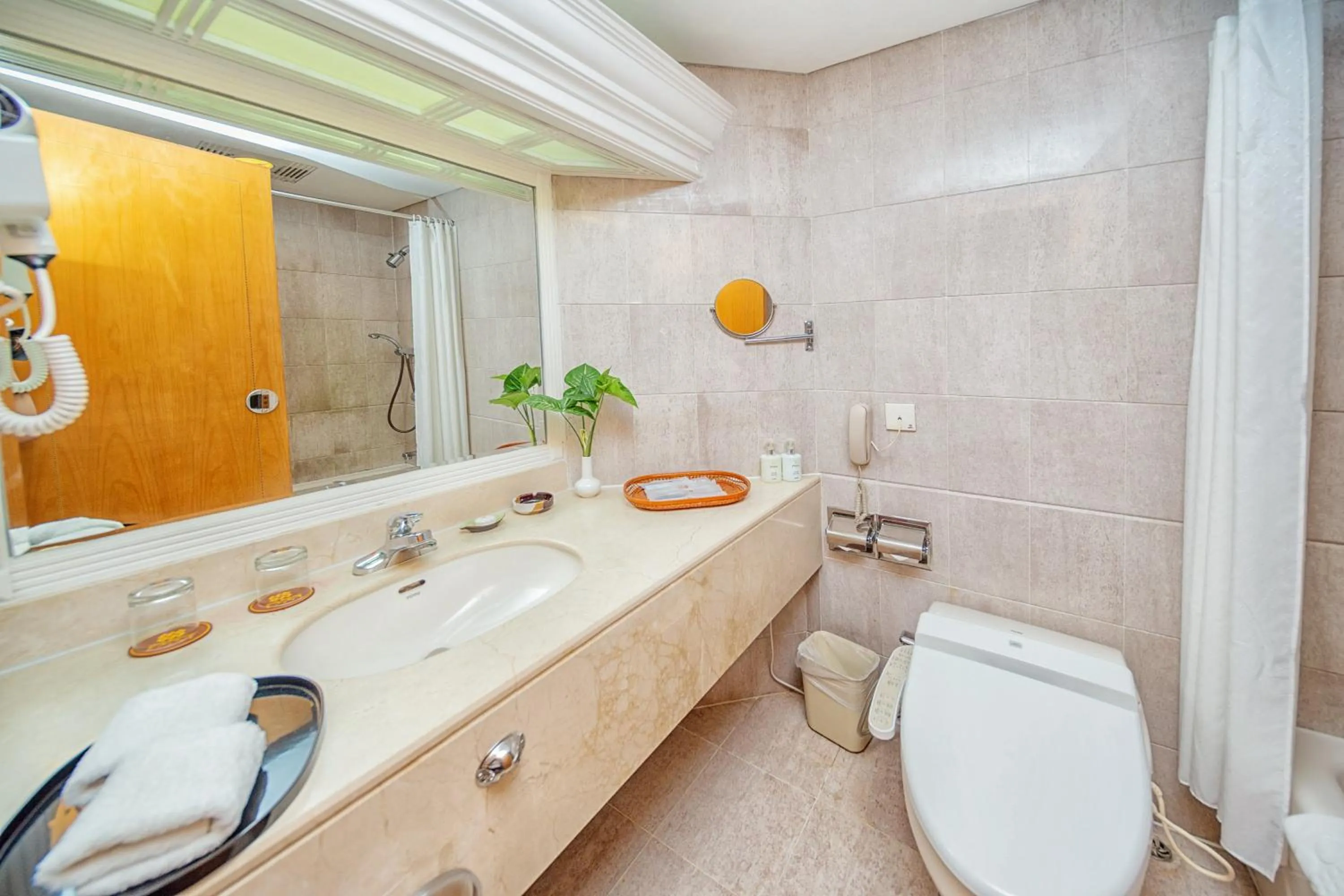 Toilet in Hotel Silverland