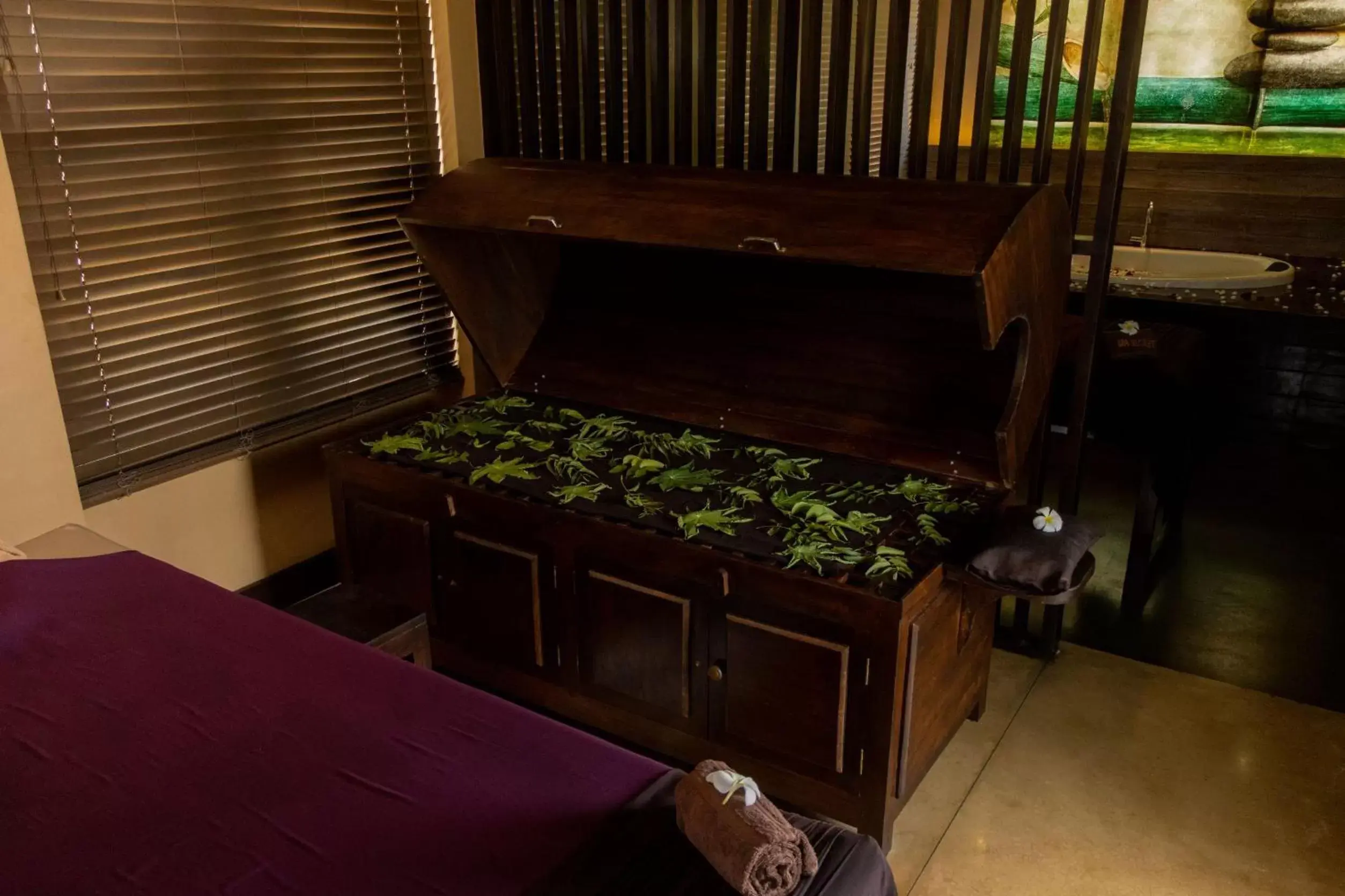 Spa and wellness centre/facilities in Terrace Green Hotel & Spa