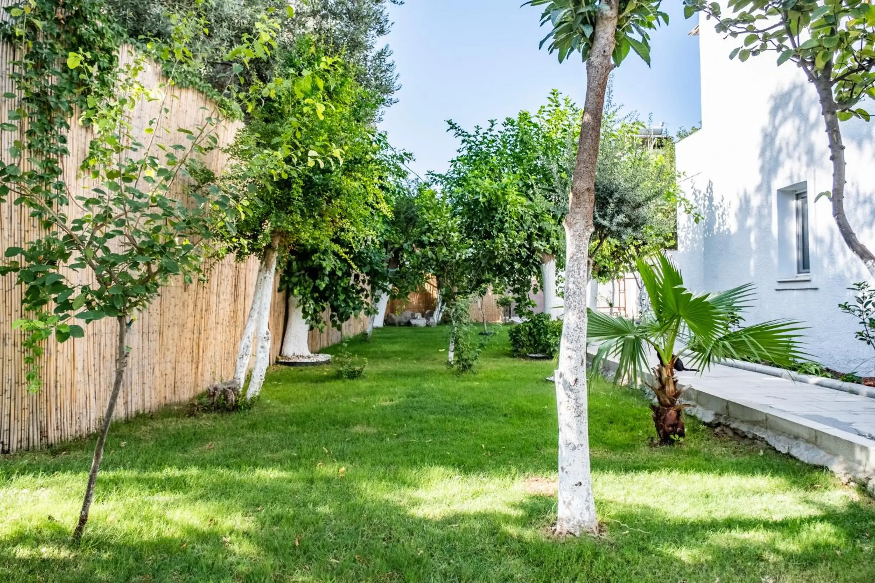 Garden in Costa Maya Bodrum