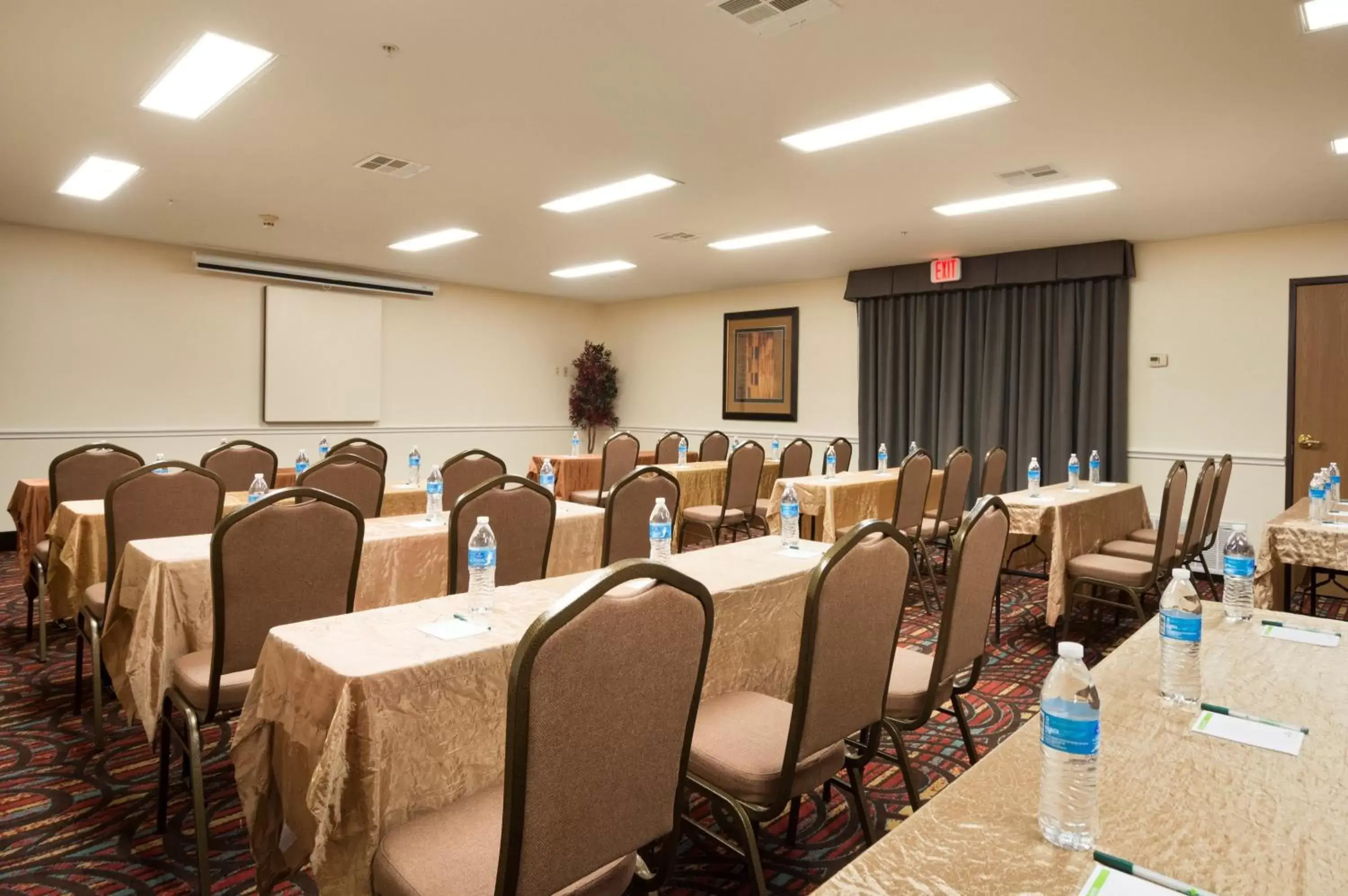 Business facilities in Wingate by Wyndham San Marcos