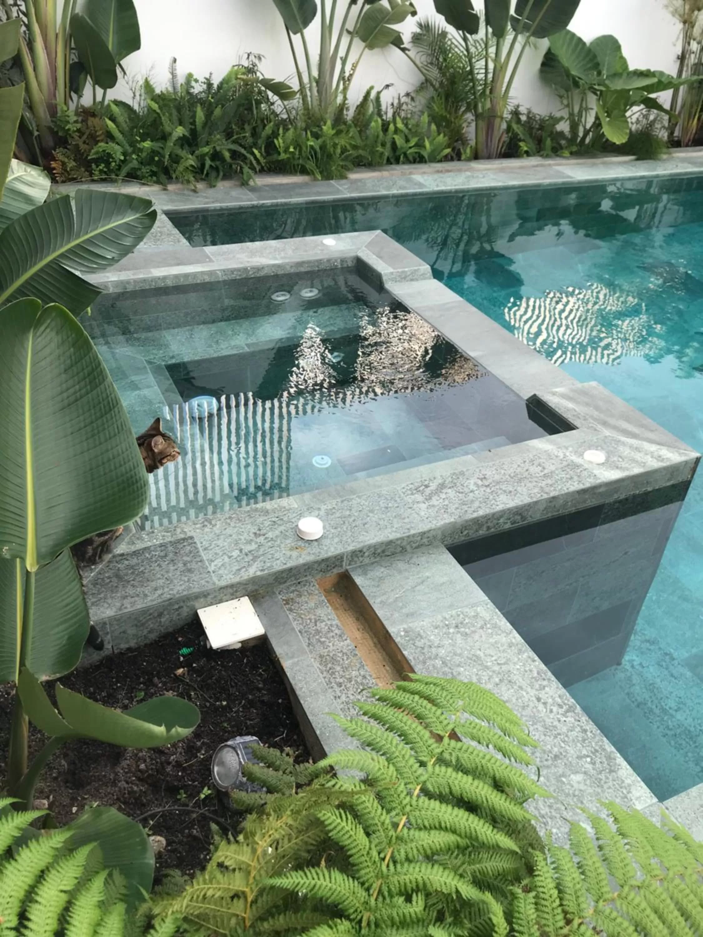 Swimming Pool in Casa Fluxo