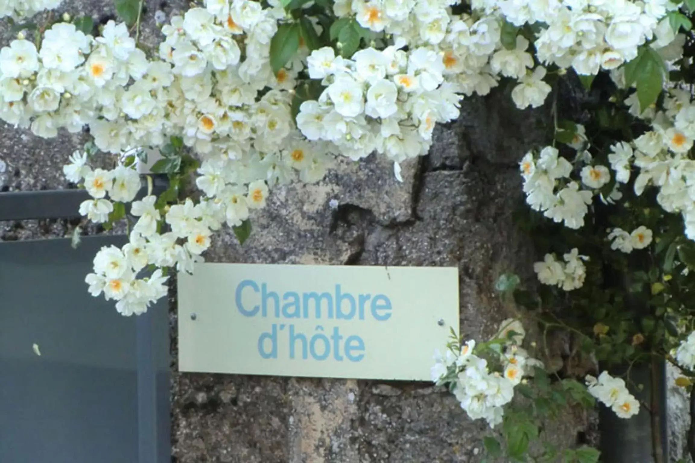 Garden view in Le Barry du Grand Chemin