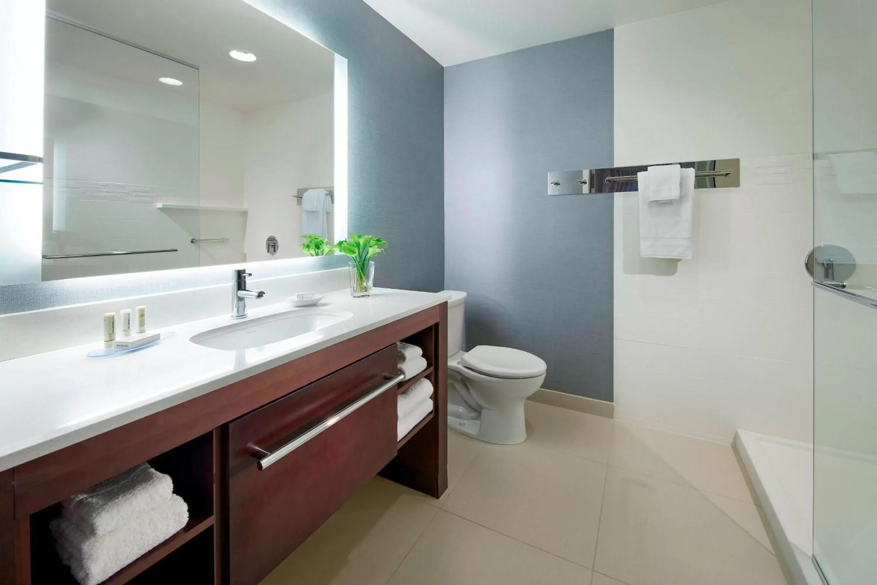 Bathroom in Residence Inn by Marriott San Diego Chula Vista