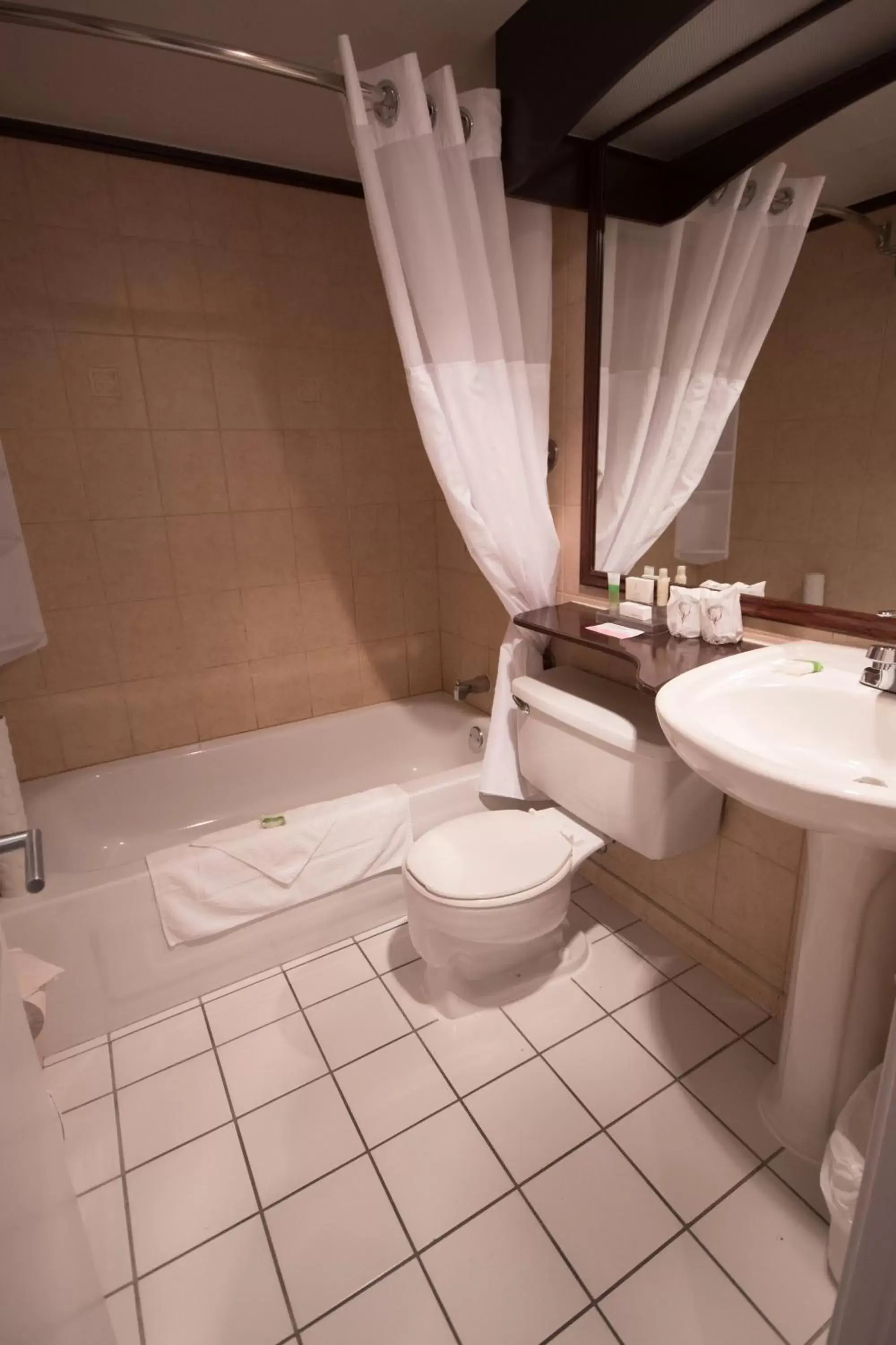 Bathroom in Hotel des Eskers