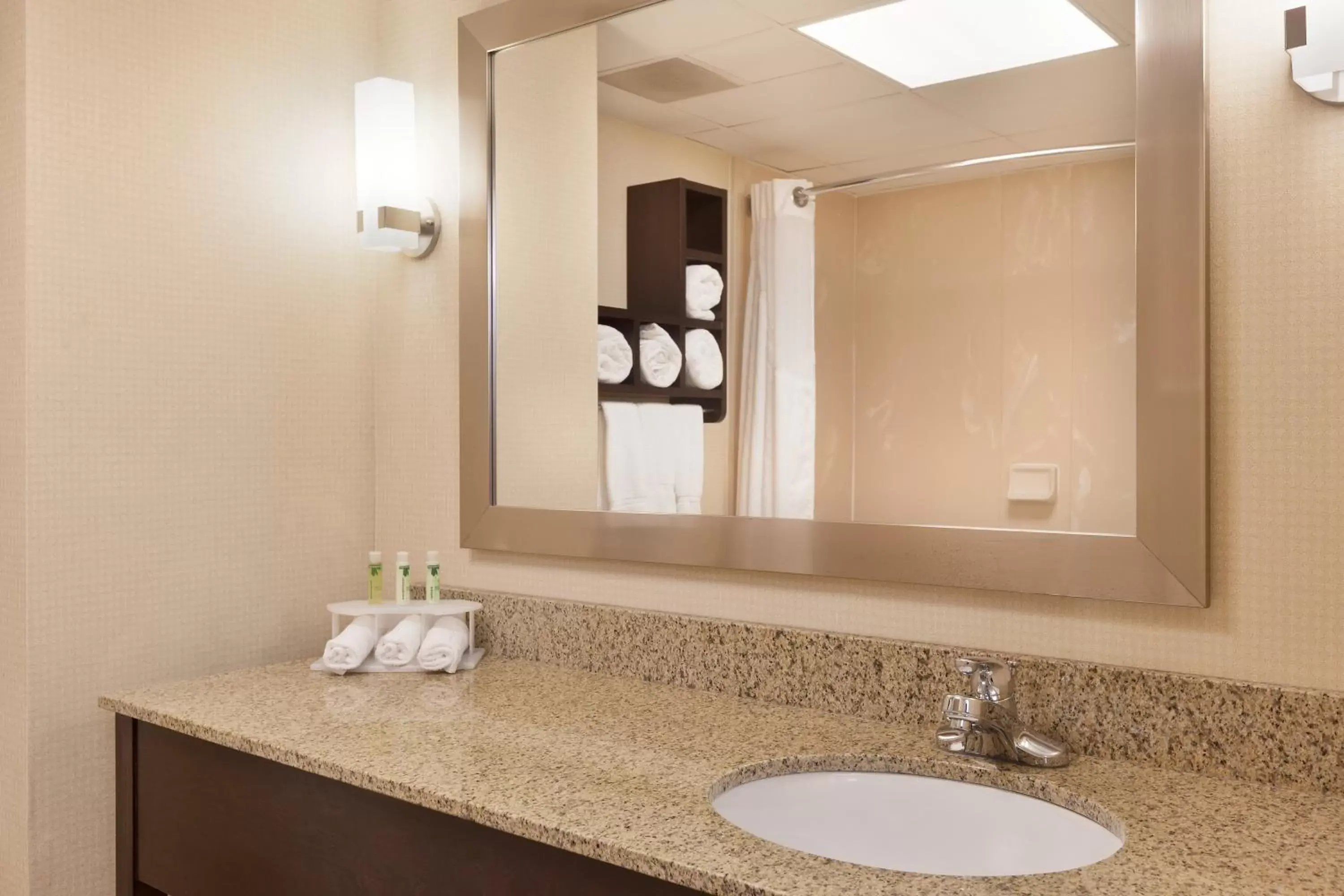 Bathroom in Holiday Inn Express Winston-Salem, an IHG Hotel