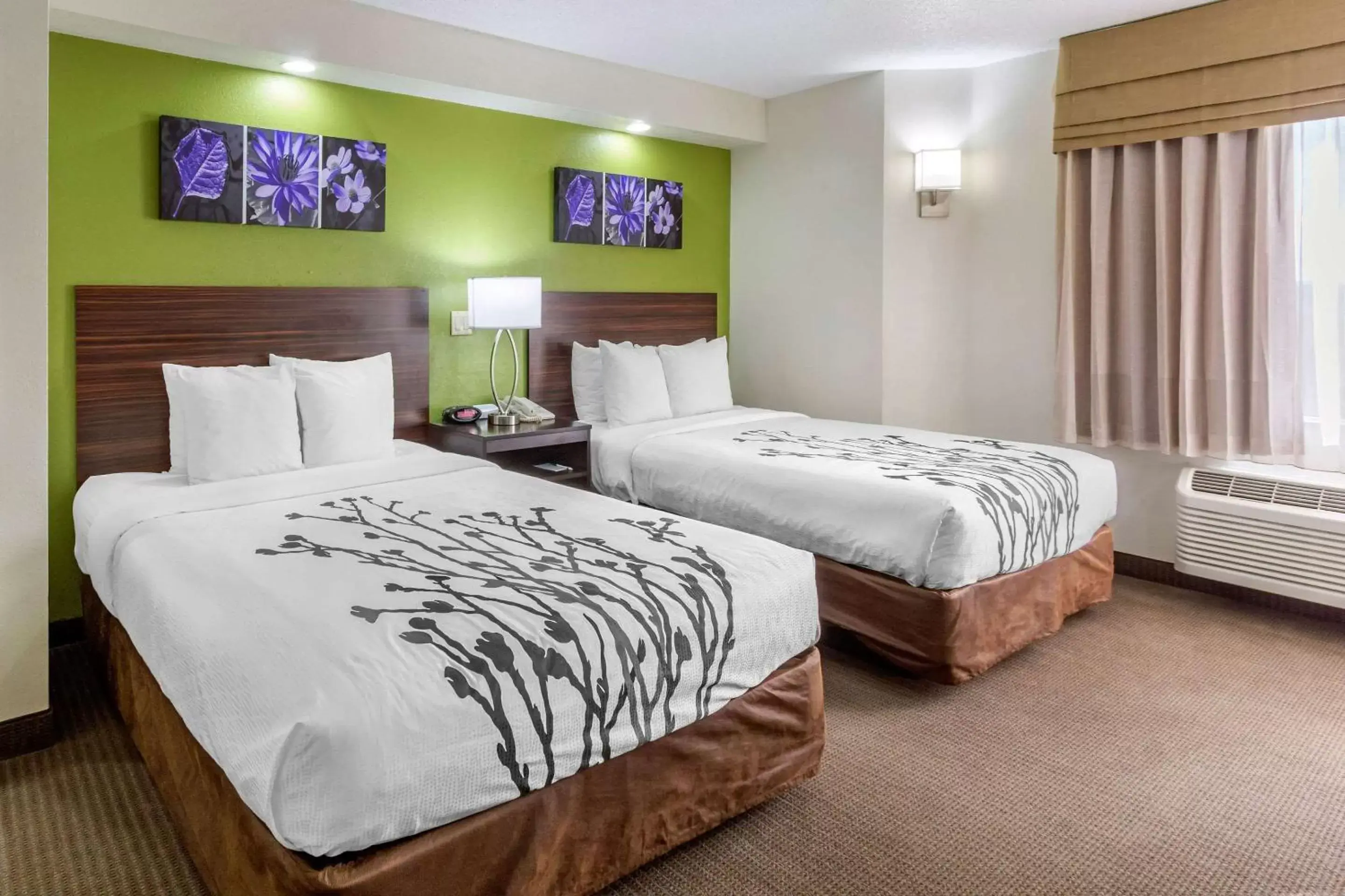 Photo of the whole room, Bed in Sleep Inn near Busch Gardens - USF