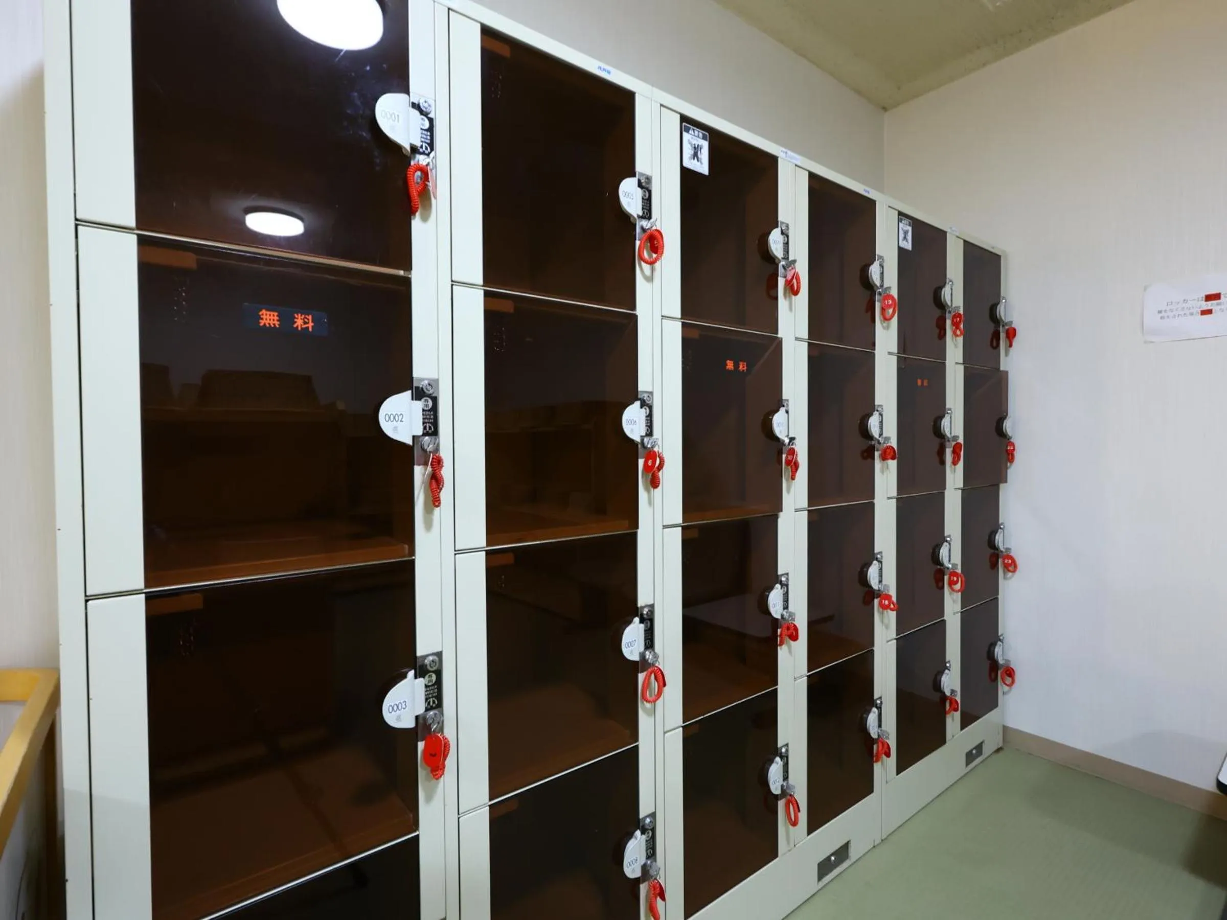 Public Bath in Hotel Yudanaka