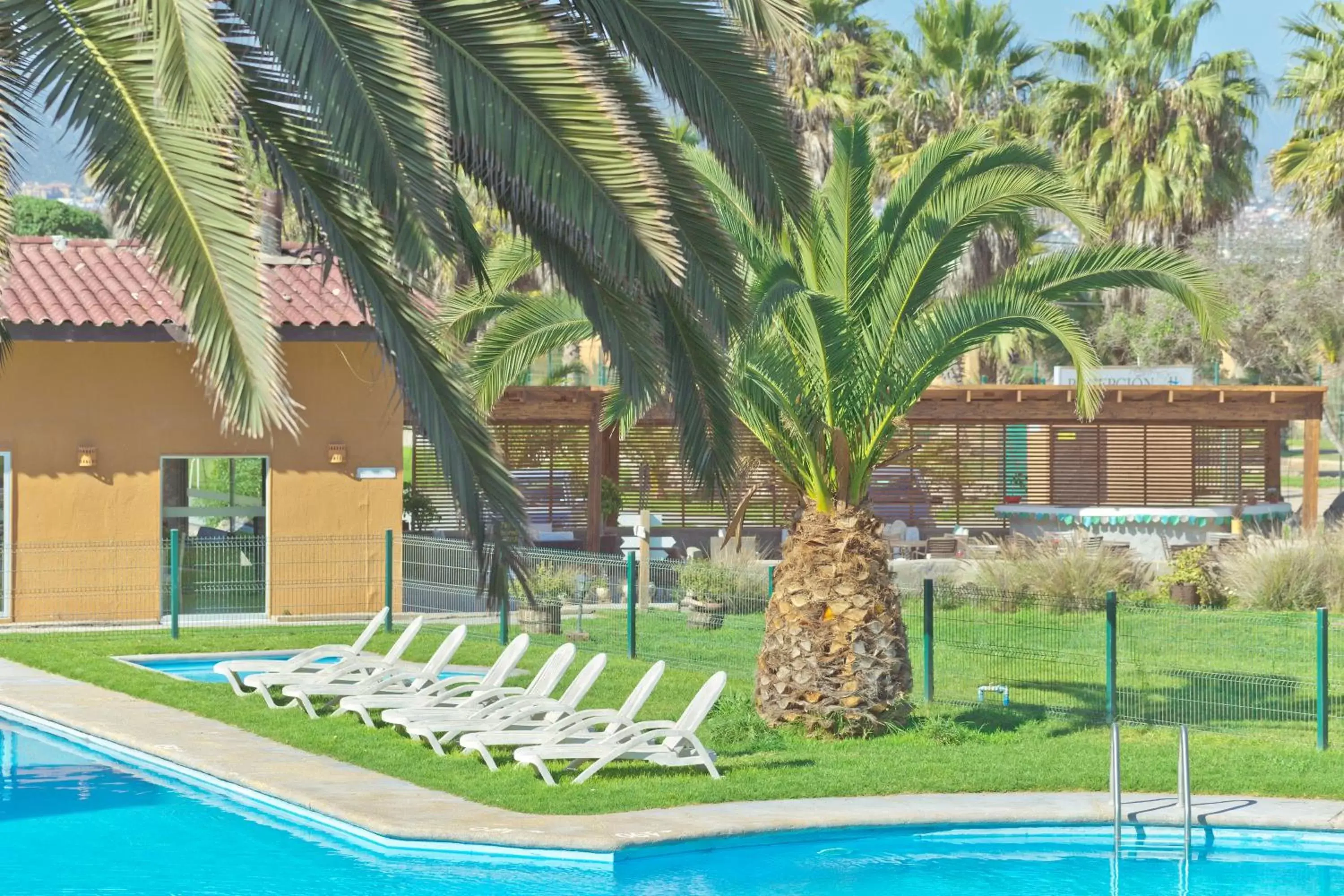 Garden, Swimming Pool in Hotel Palmas de La Serena