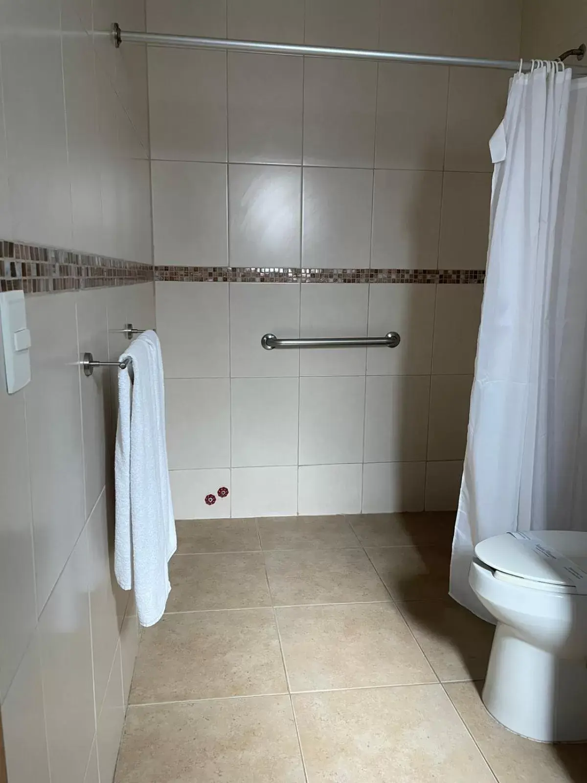 Shower, Bathroom in Hotel Santo Domingo Express