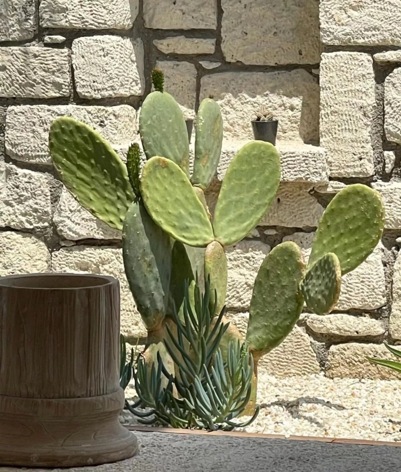 Garden view in Voger Alaçatı Silence