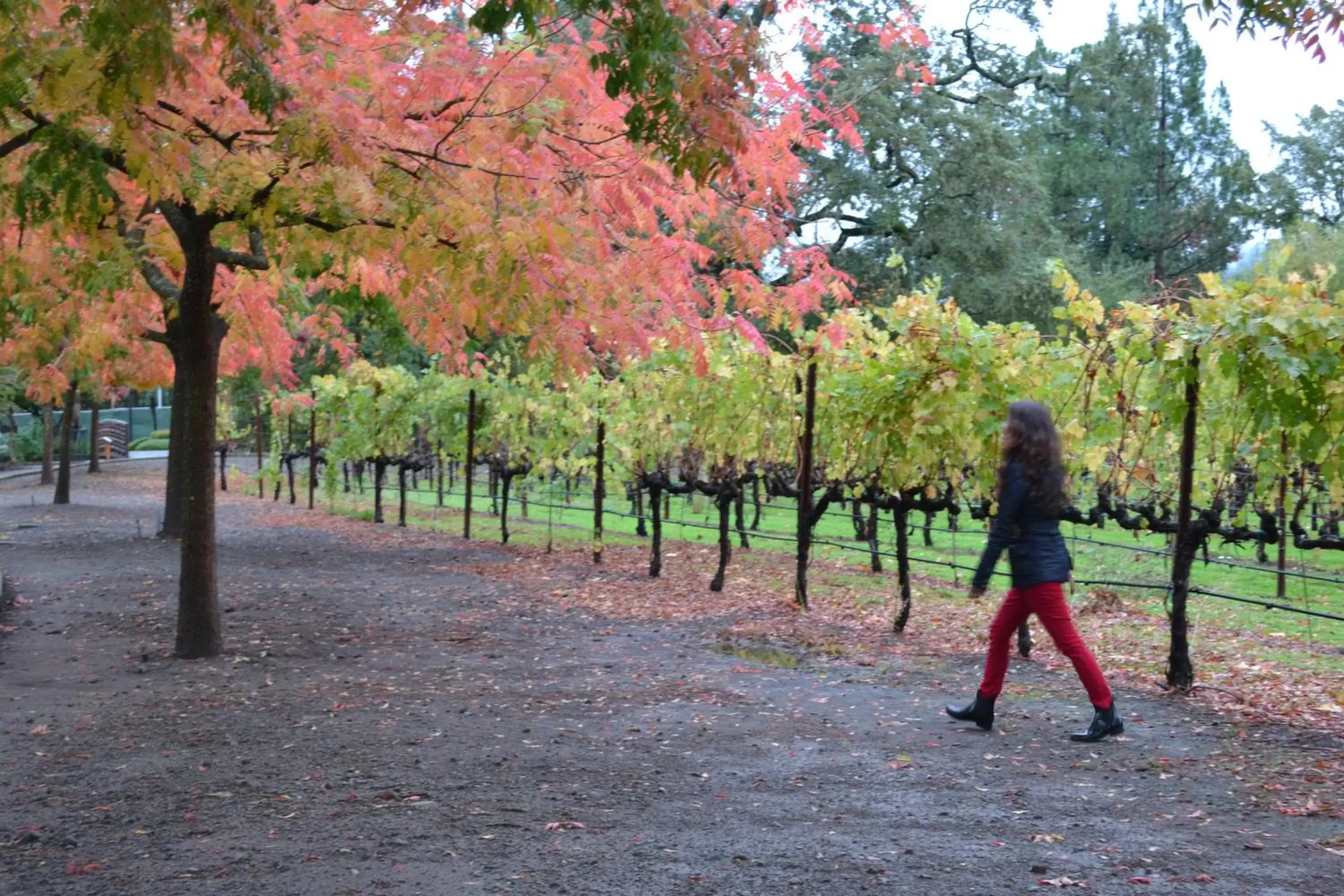 Activities in Chardonnay Lodge