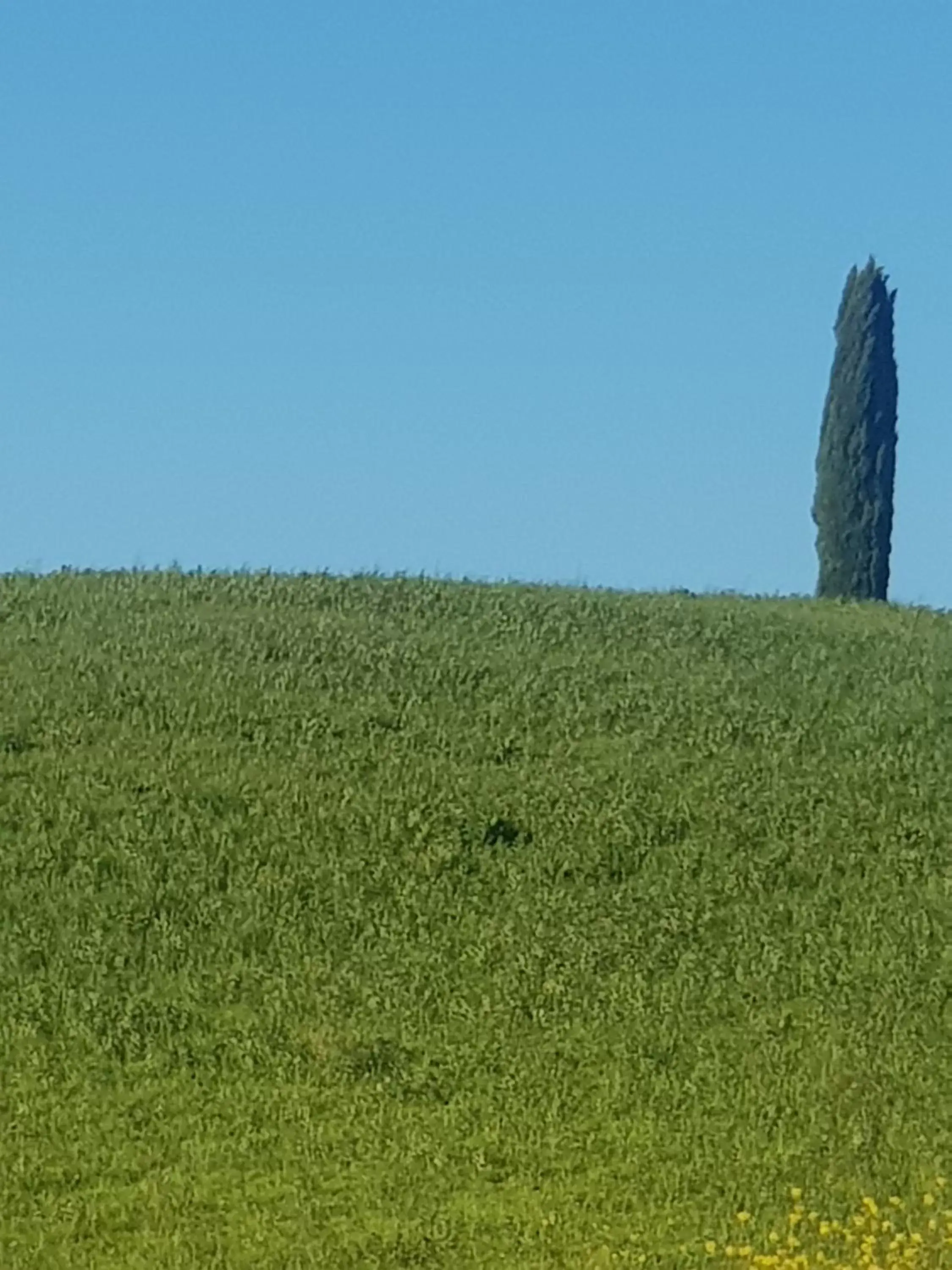 Natural Landscape in Palazzetto del Pittore