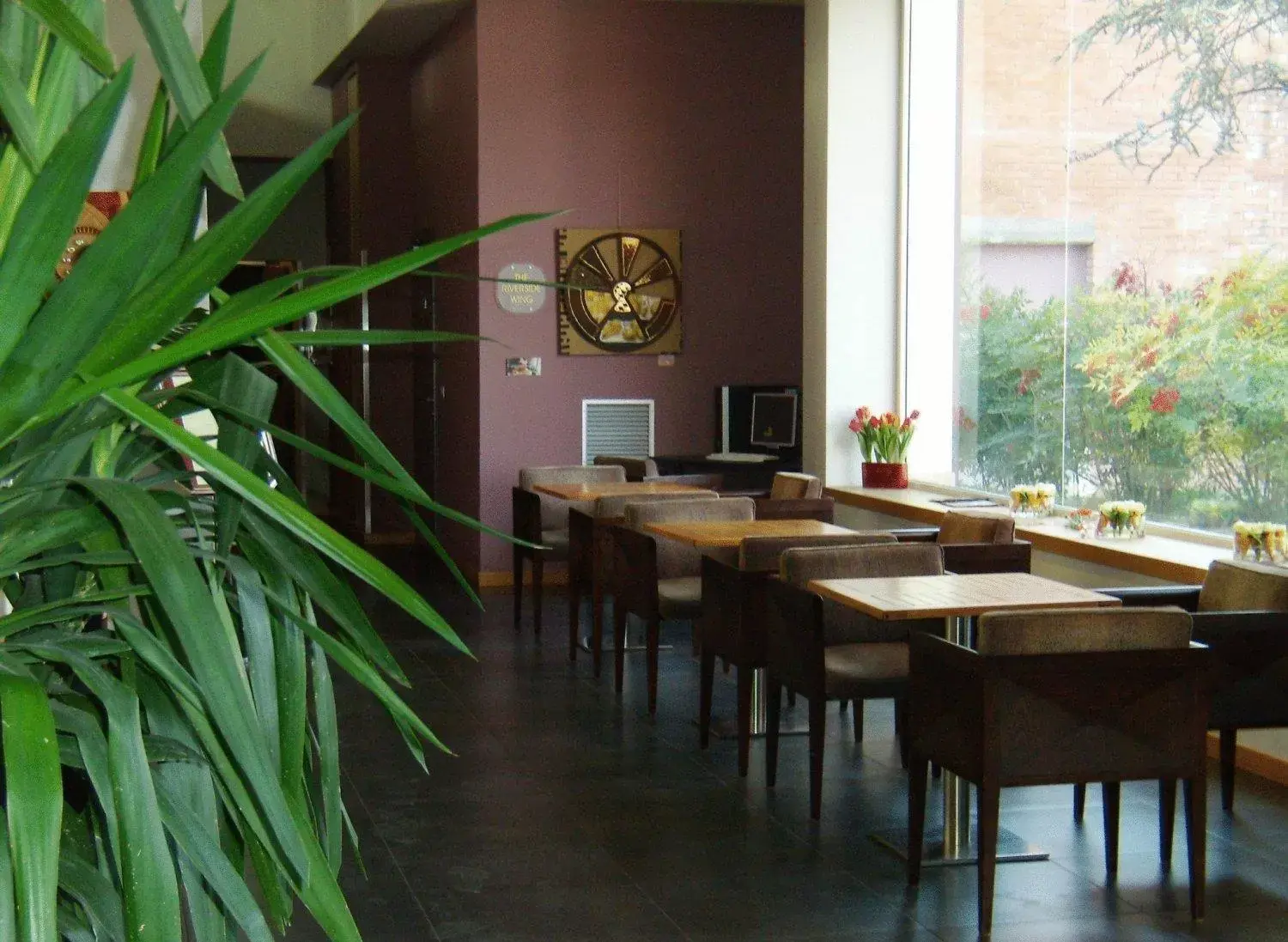 Lounge or bar, Restaurant/Places to Eat in Admiral Park Hotel
