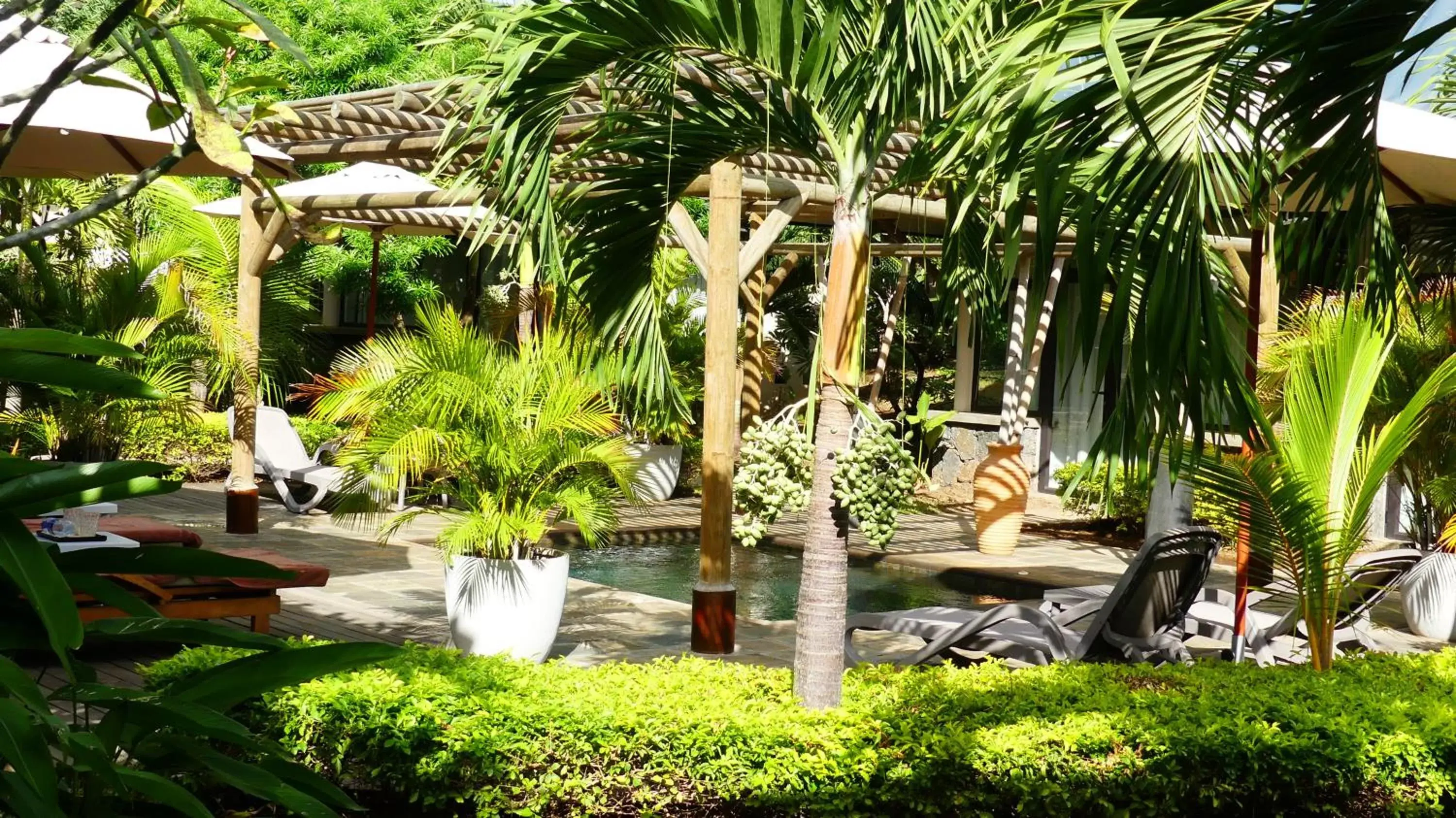 Garden in Anelia Resort & Spa