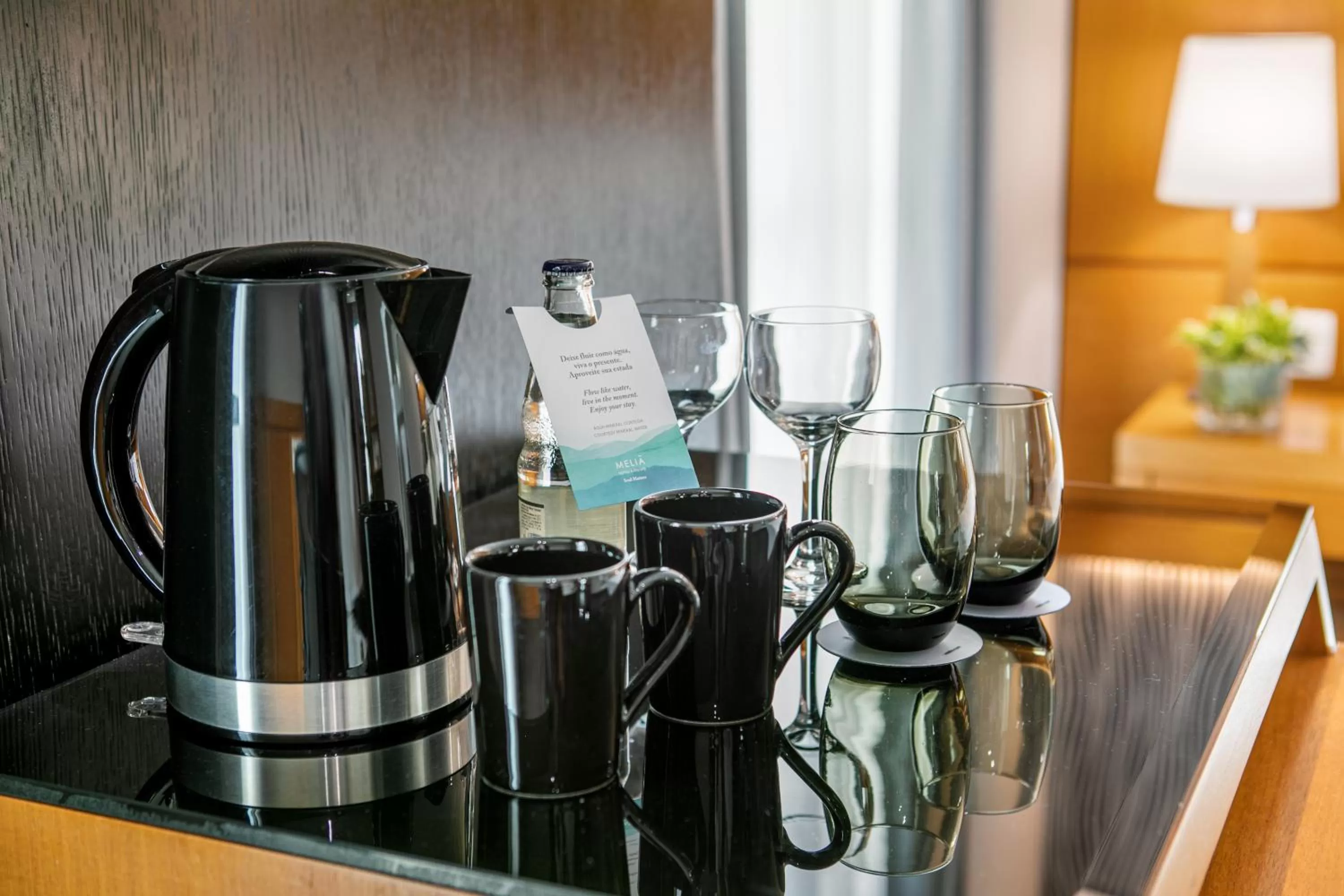 Area and facilities in Meliá Jardim Europa