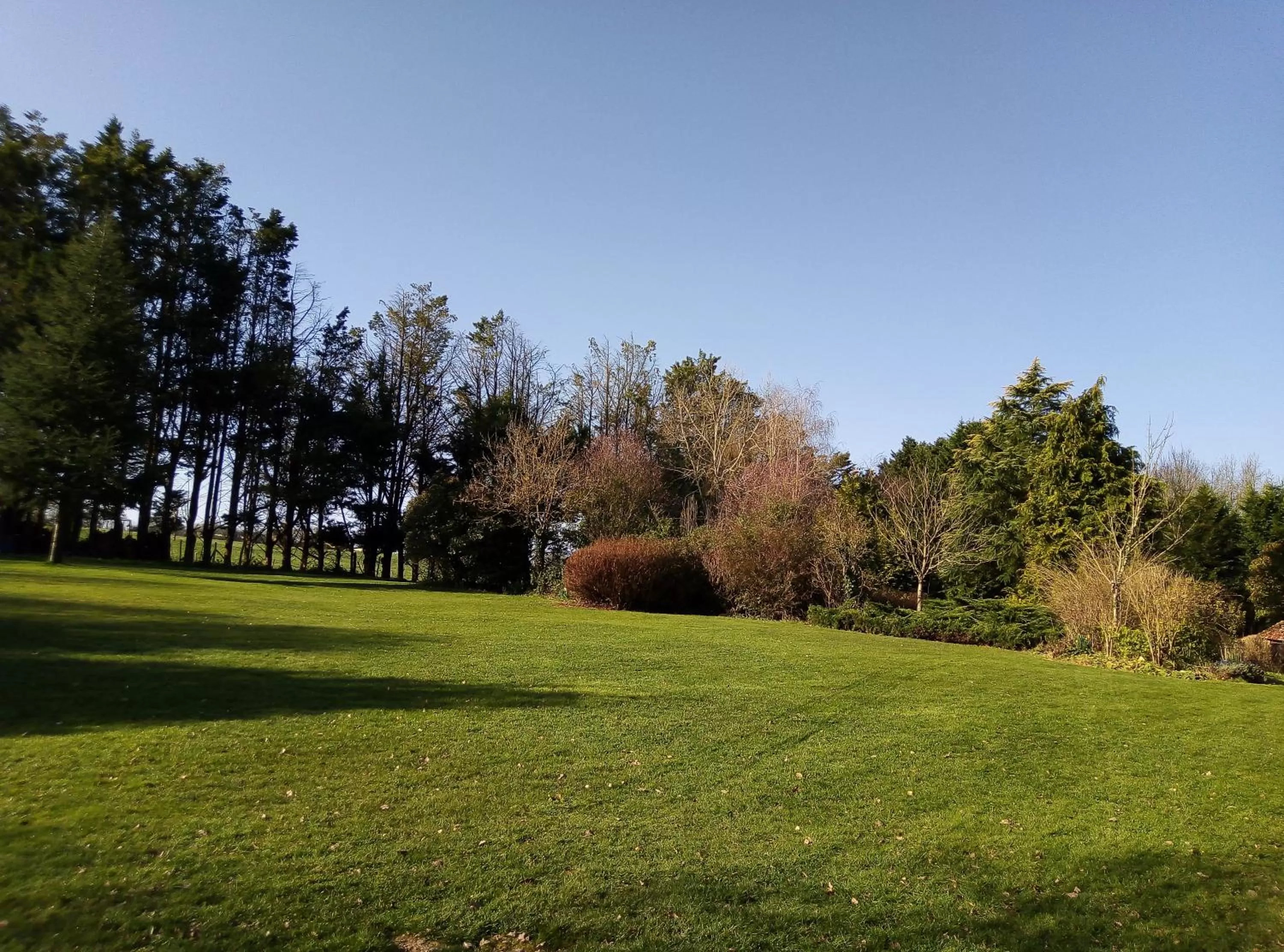 Garden in Chambre d'Hôtes La Bardinière