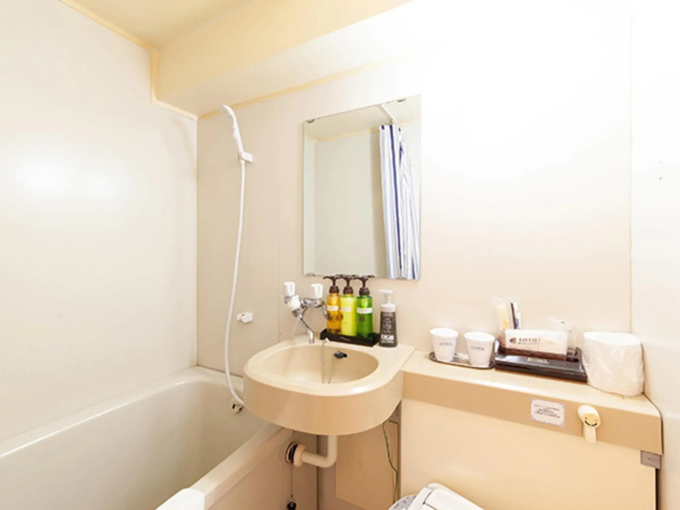 Bathroom in HOTEL LiVEMAX BUDGET Nippori