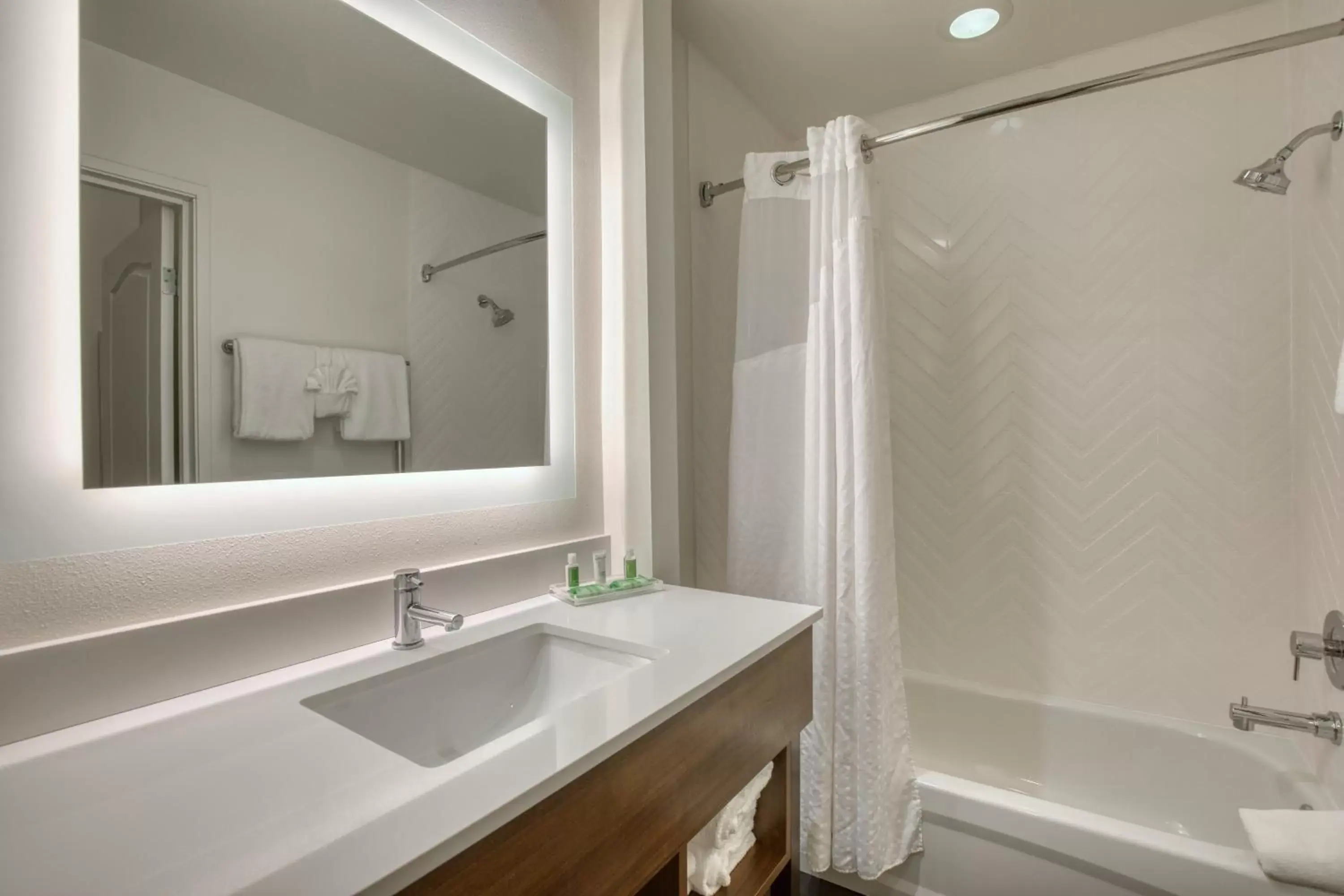 Bathroom in Holiday Inn Hotel & Suites Madison West, an IHG Hotel
