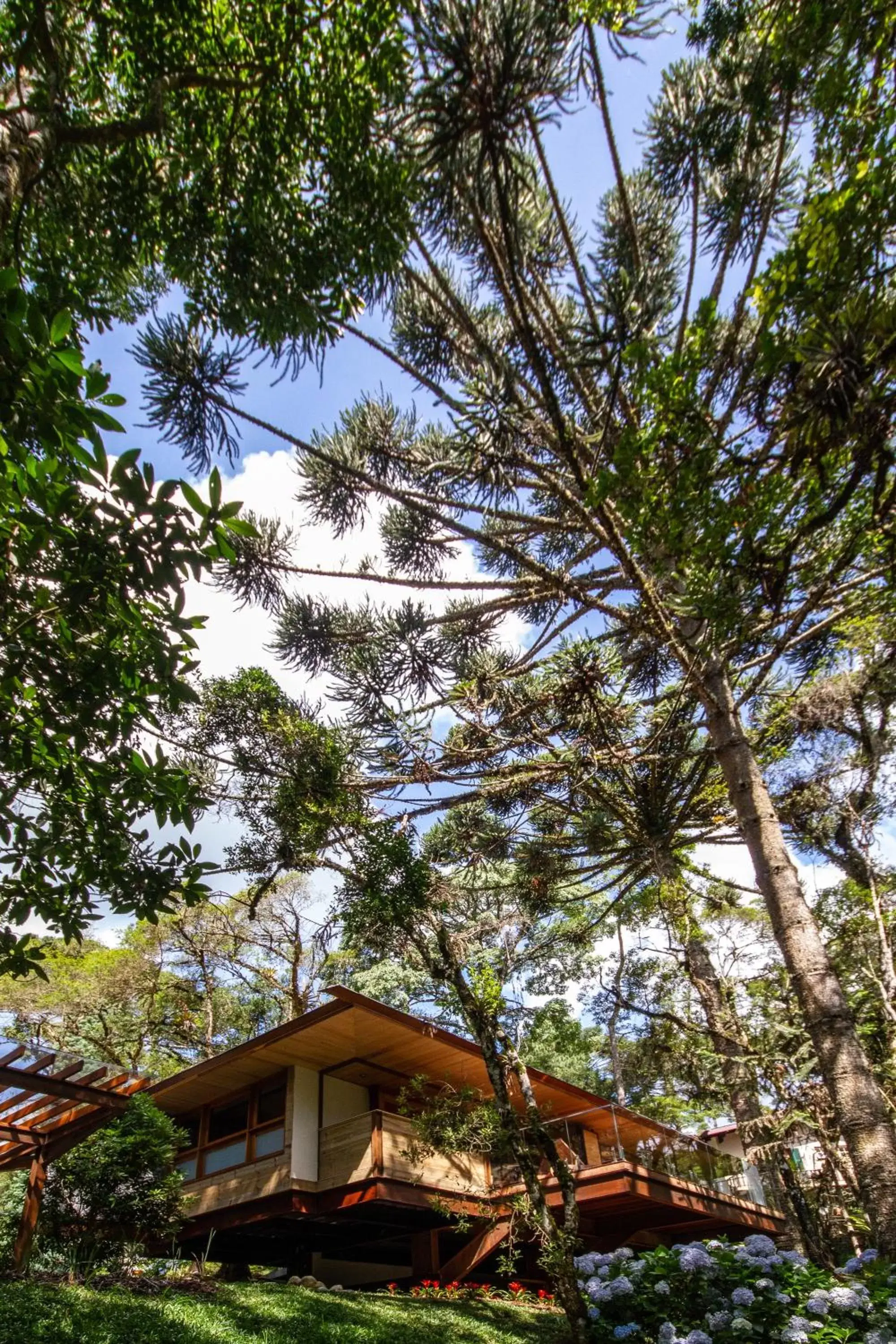 Garden, Property Building in Hotel Toriba