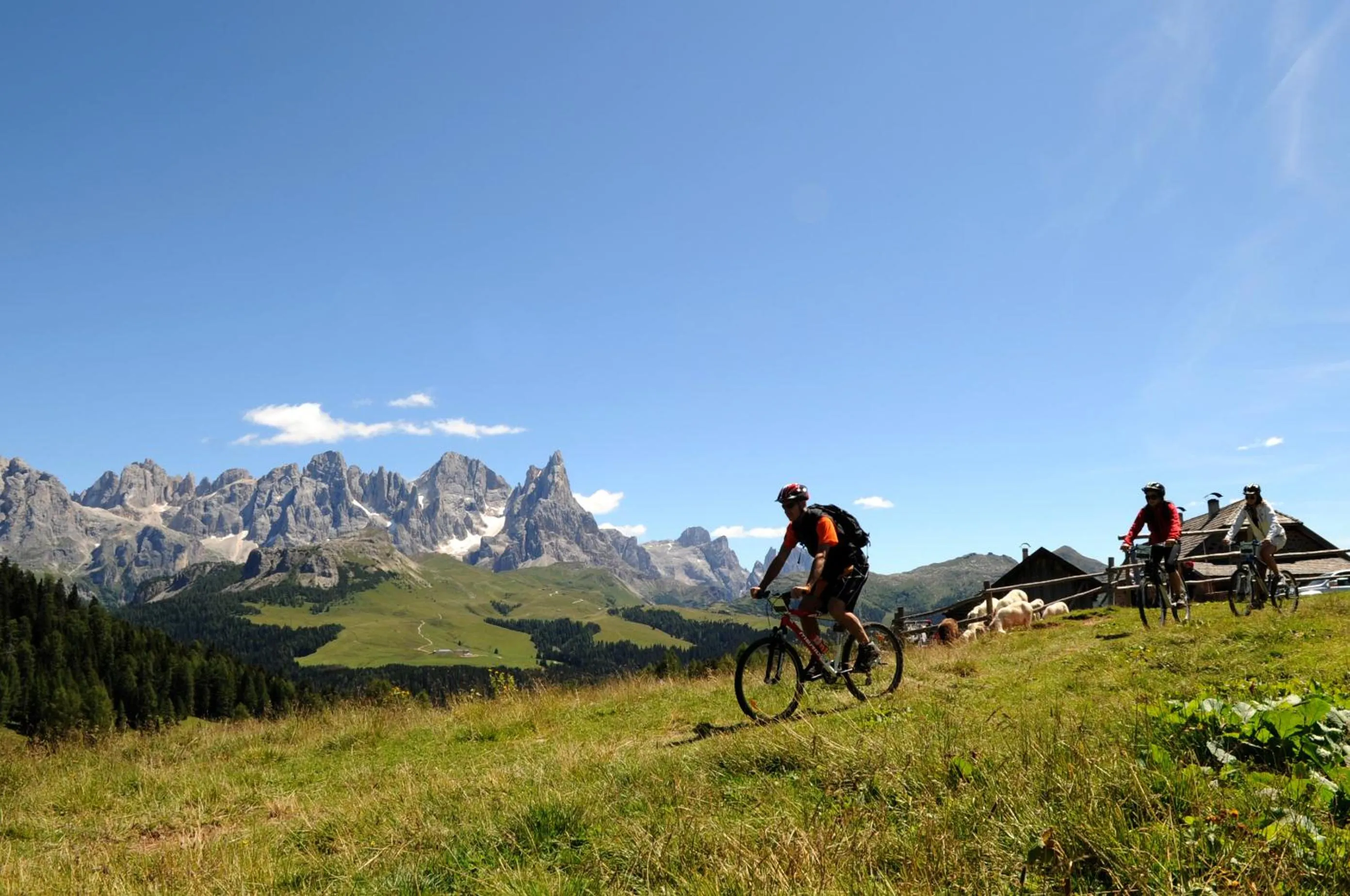 Area and facilities in Active Hotel Ancora