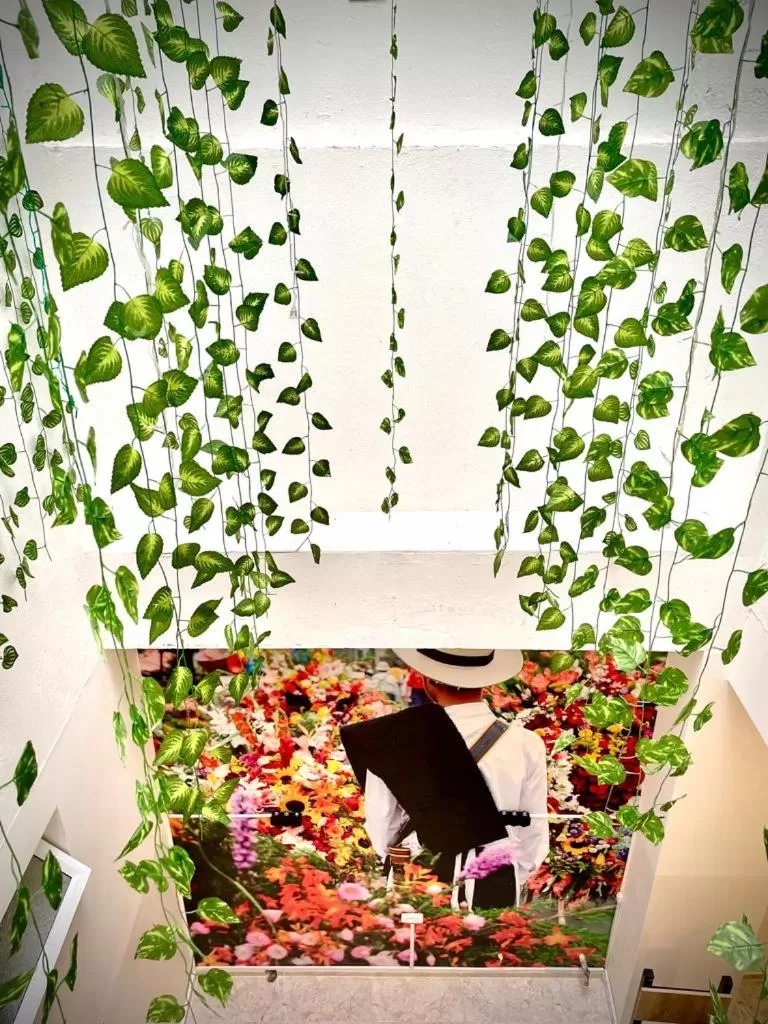 Area and facilities in Hotel Eterna Primavera