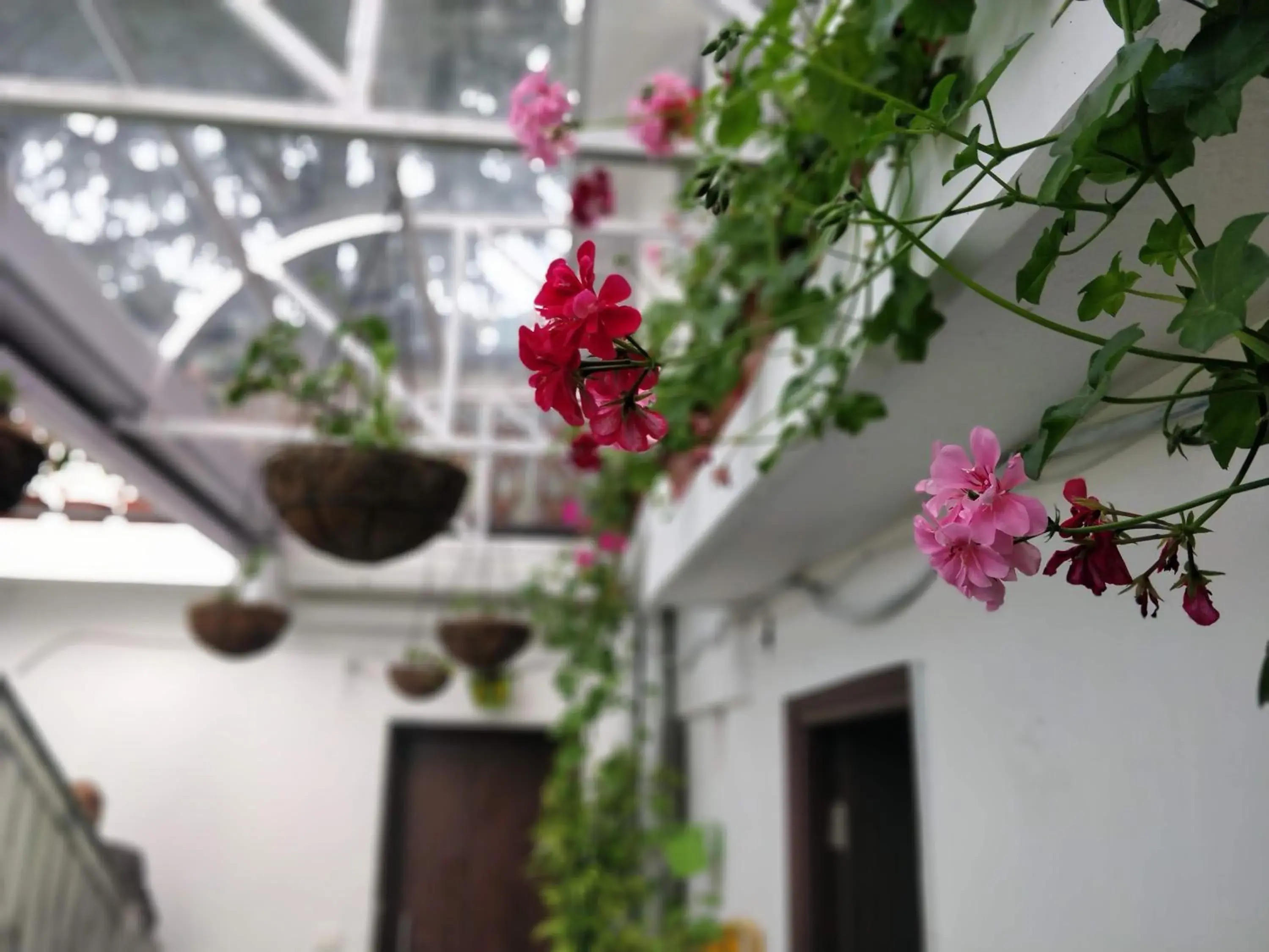 Facade/entrance in Hotel SunGrace Facade/entrance in Hotel SunGrace