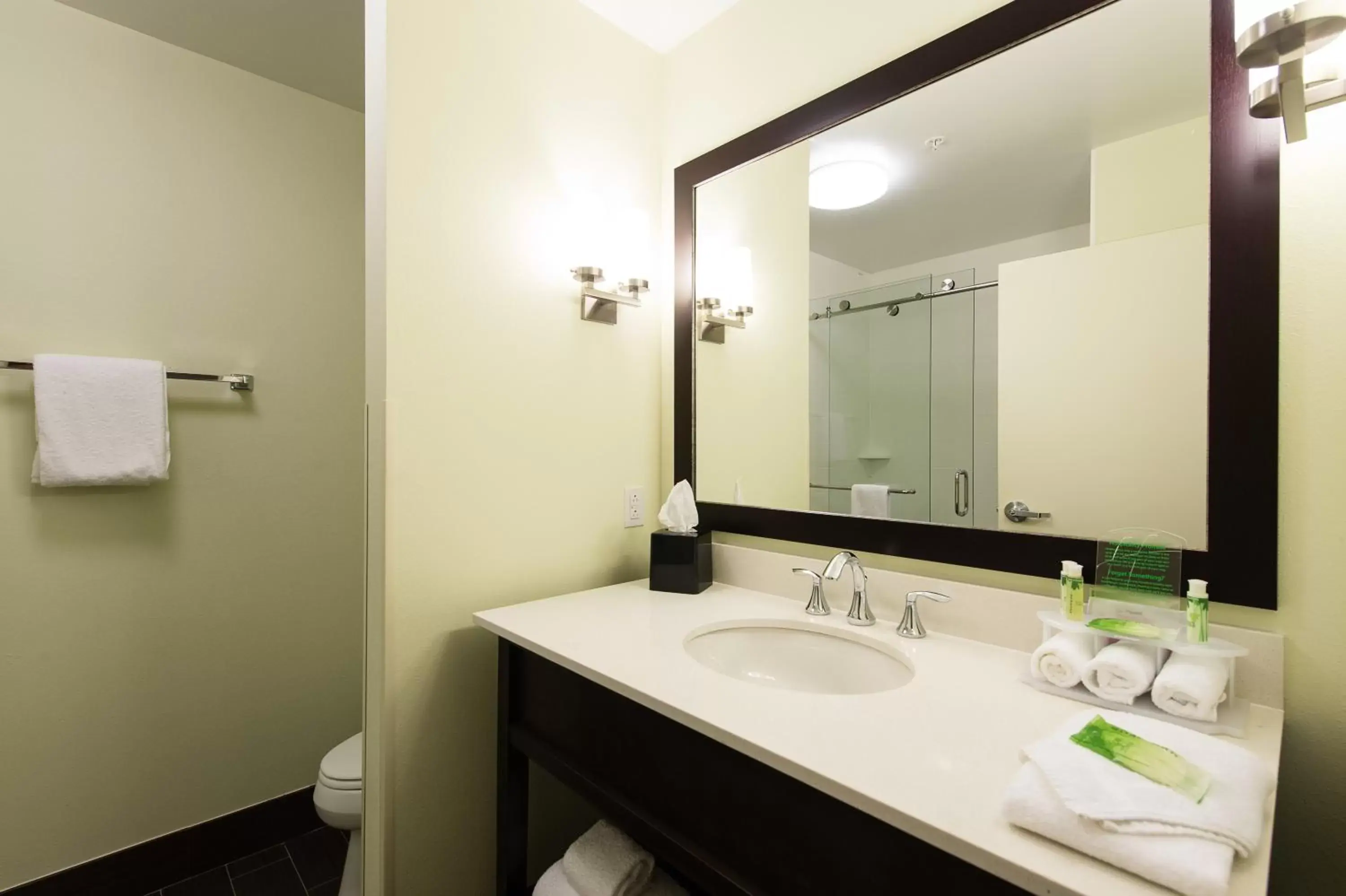 Bathroom in Holiday Inn Express & Suites Aiken, an IHG Hotel