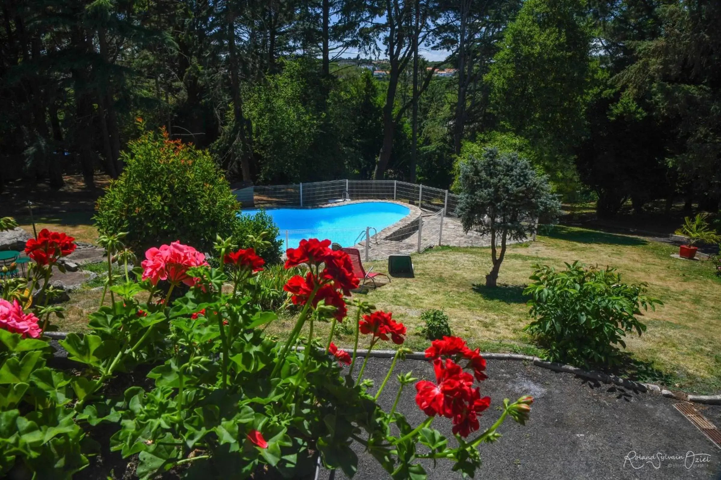 Natural landscape, Pool View in La Chaumière