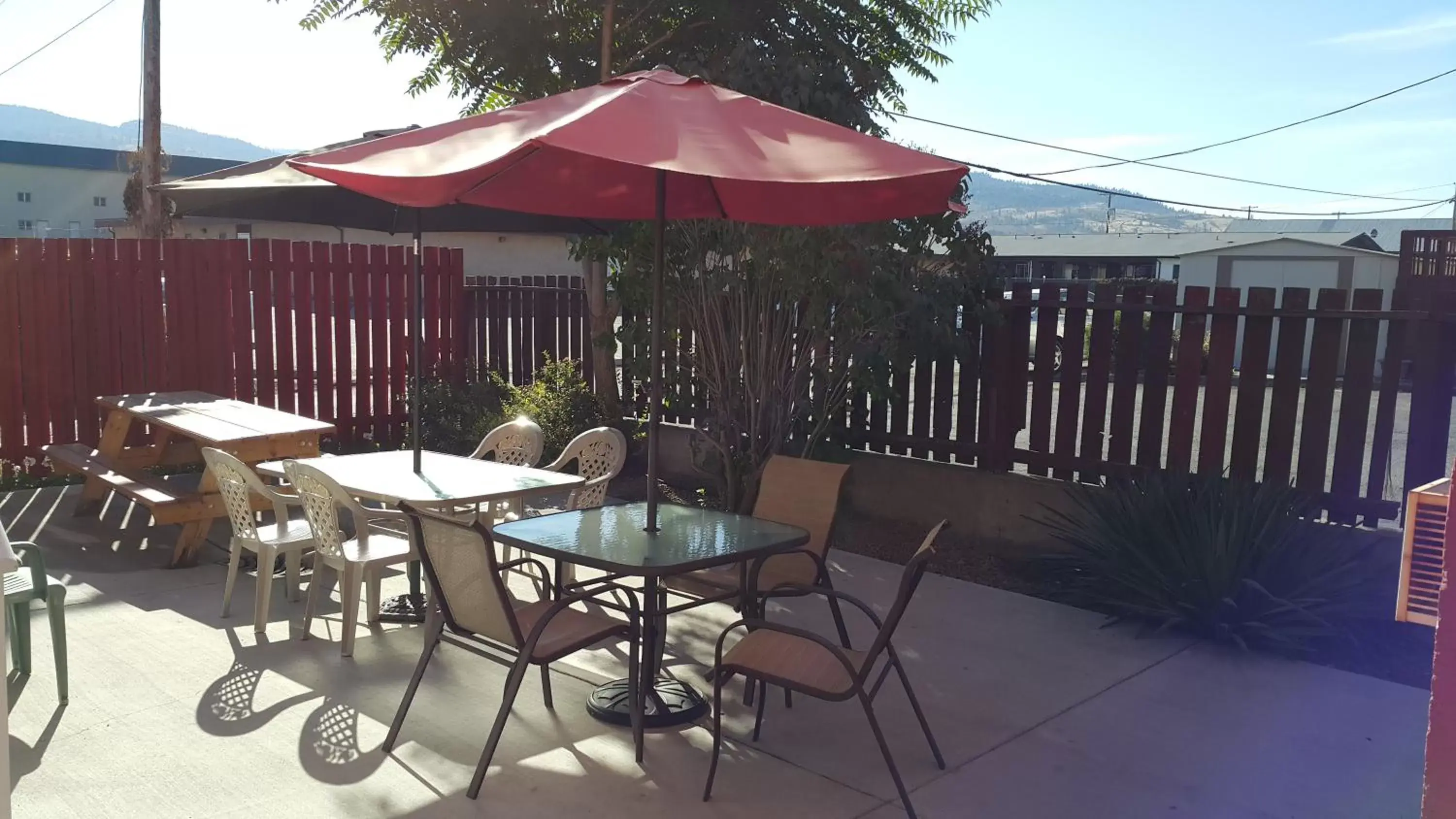 Patio in Cactus Tree Inn