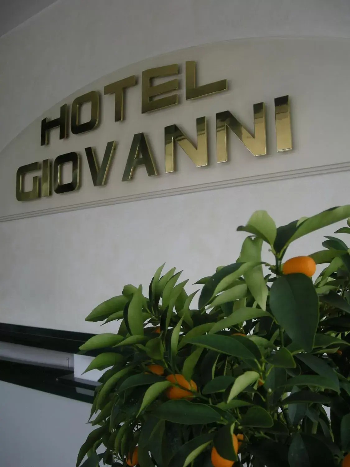 Logo/Certificate/Sign, Property Logo/Sign in Hotel Giovanni
