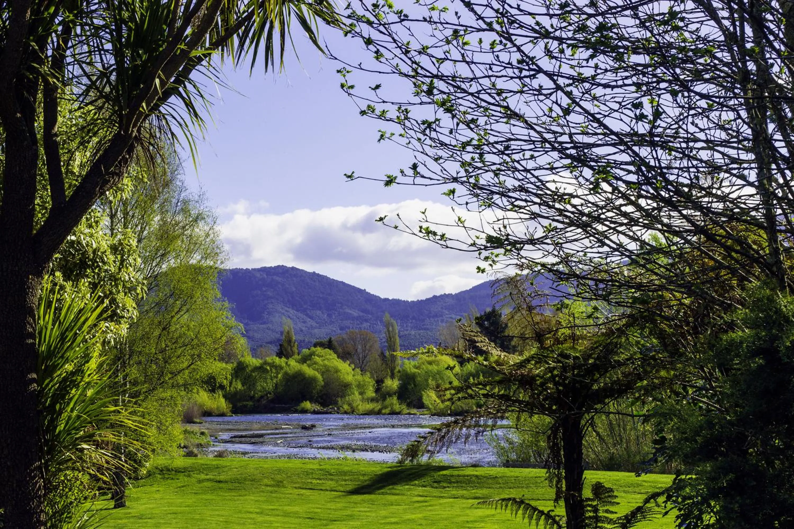 Natural landscape in Tongariro Lodge