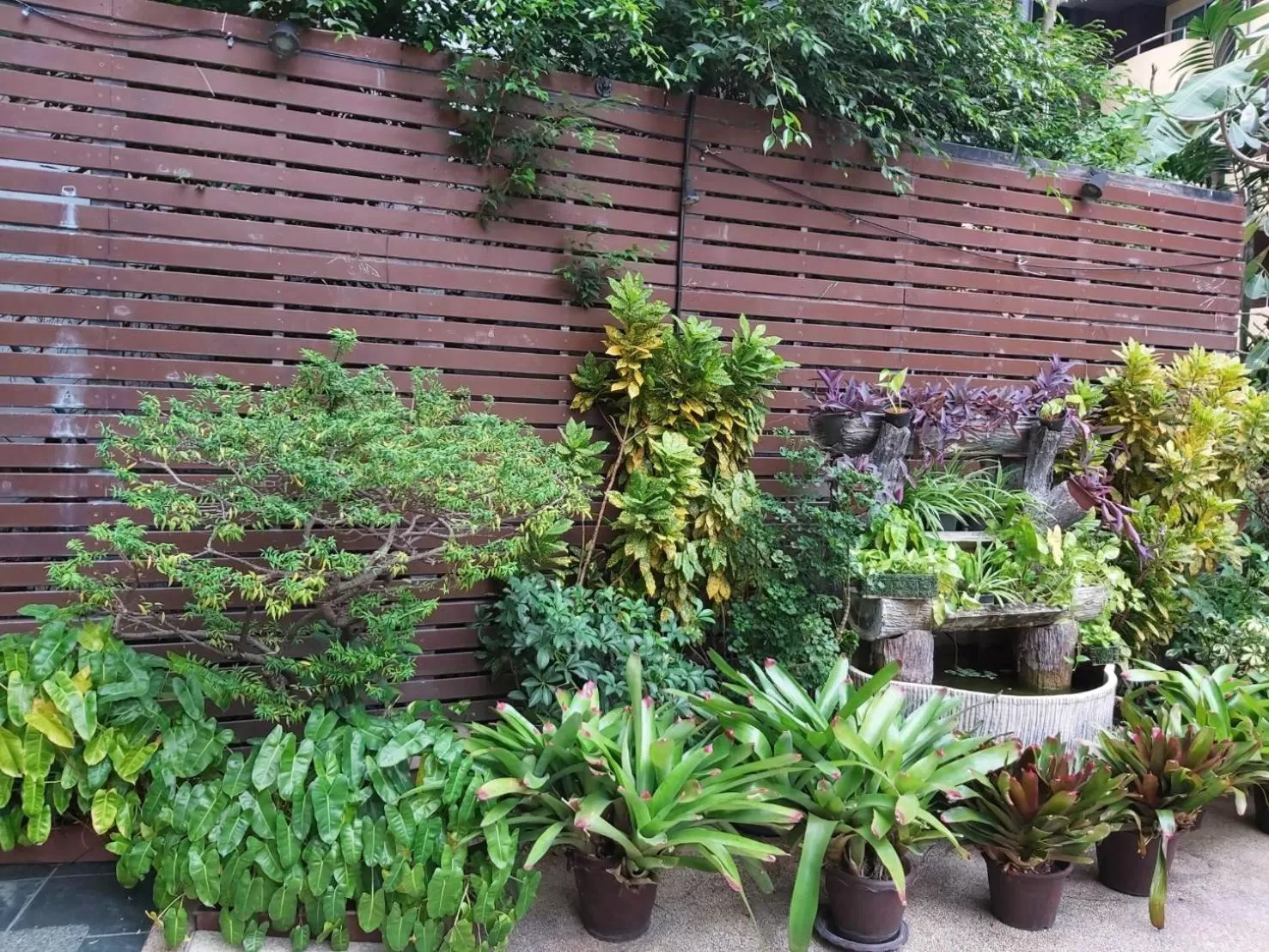 Garden view in Baron Beach Hotel