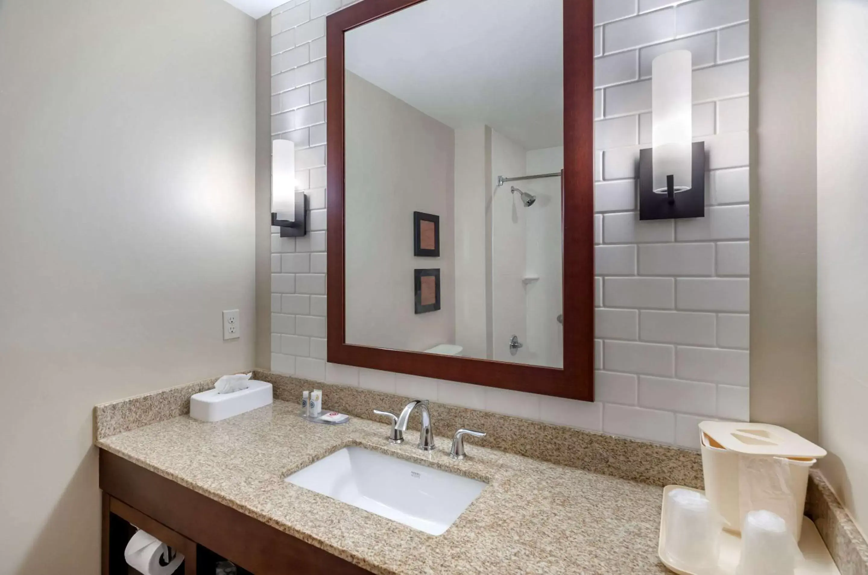 Bathroom in Comfort Inn & Suites Lynchburg Airport - University Area