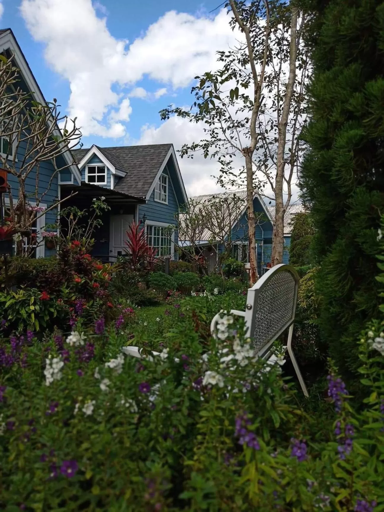 Baan JaoKorKluay บ้านเจ้ากอกล้วย