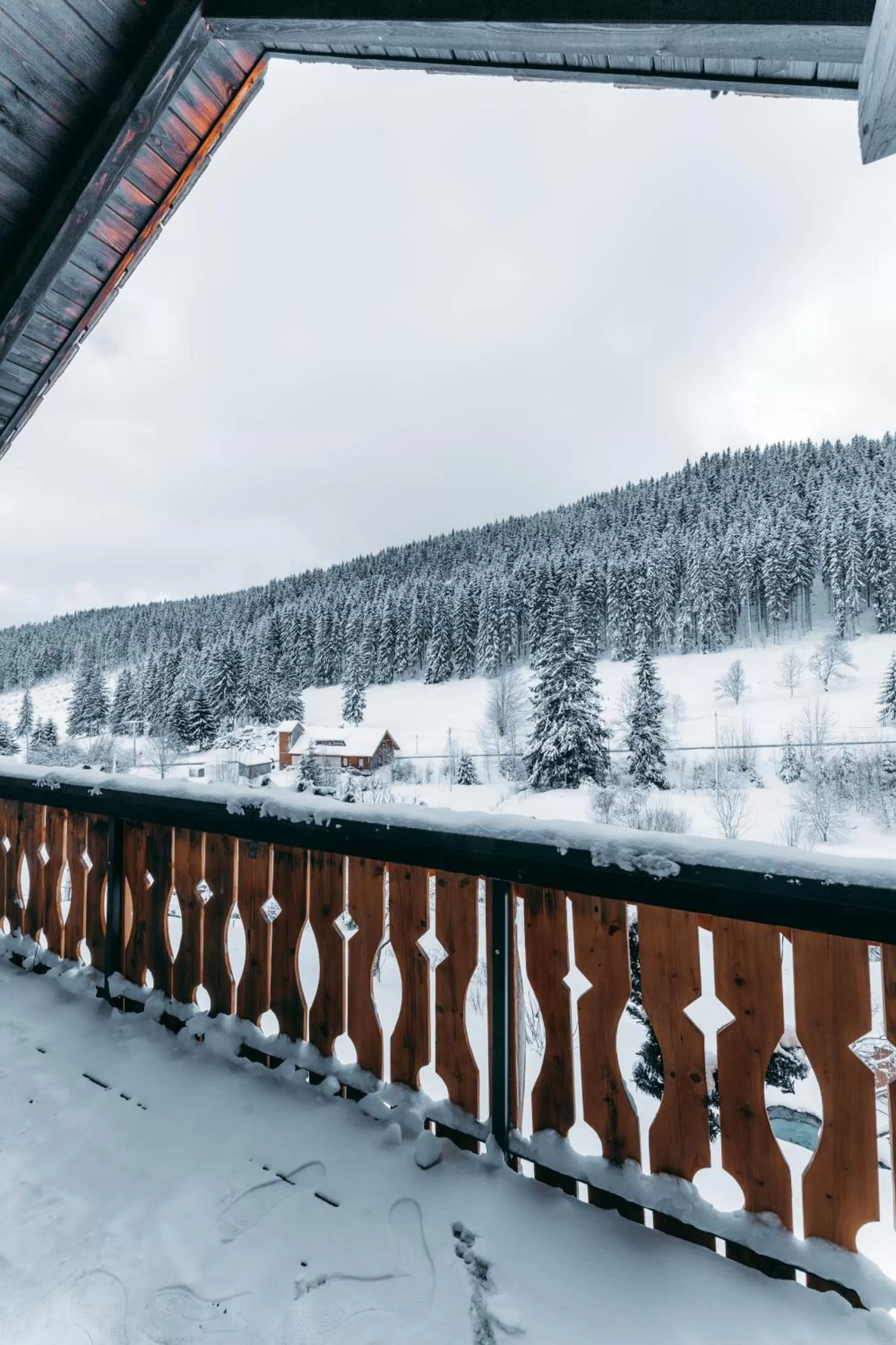 Winter in Black Forest Dream Apartments