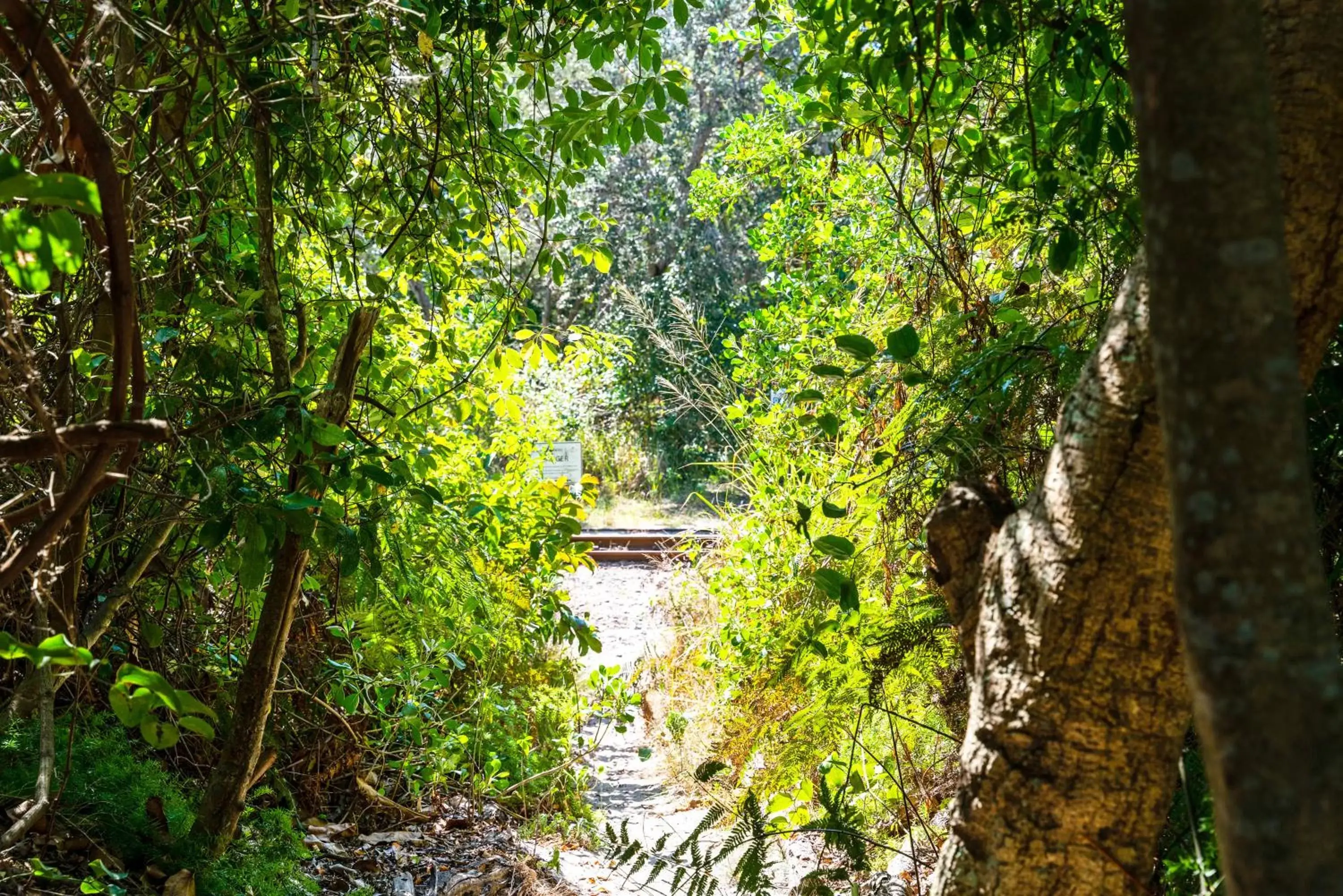 Natural landscape in Wollongbar Motel