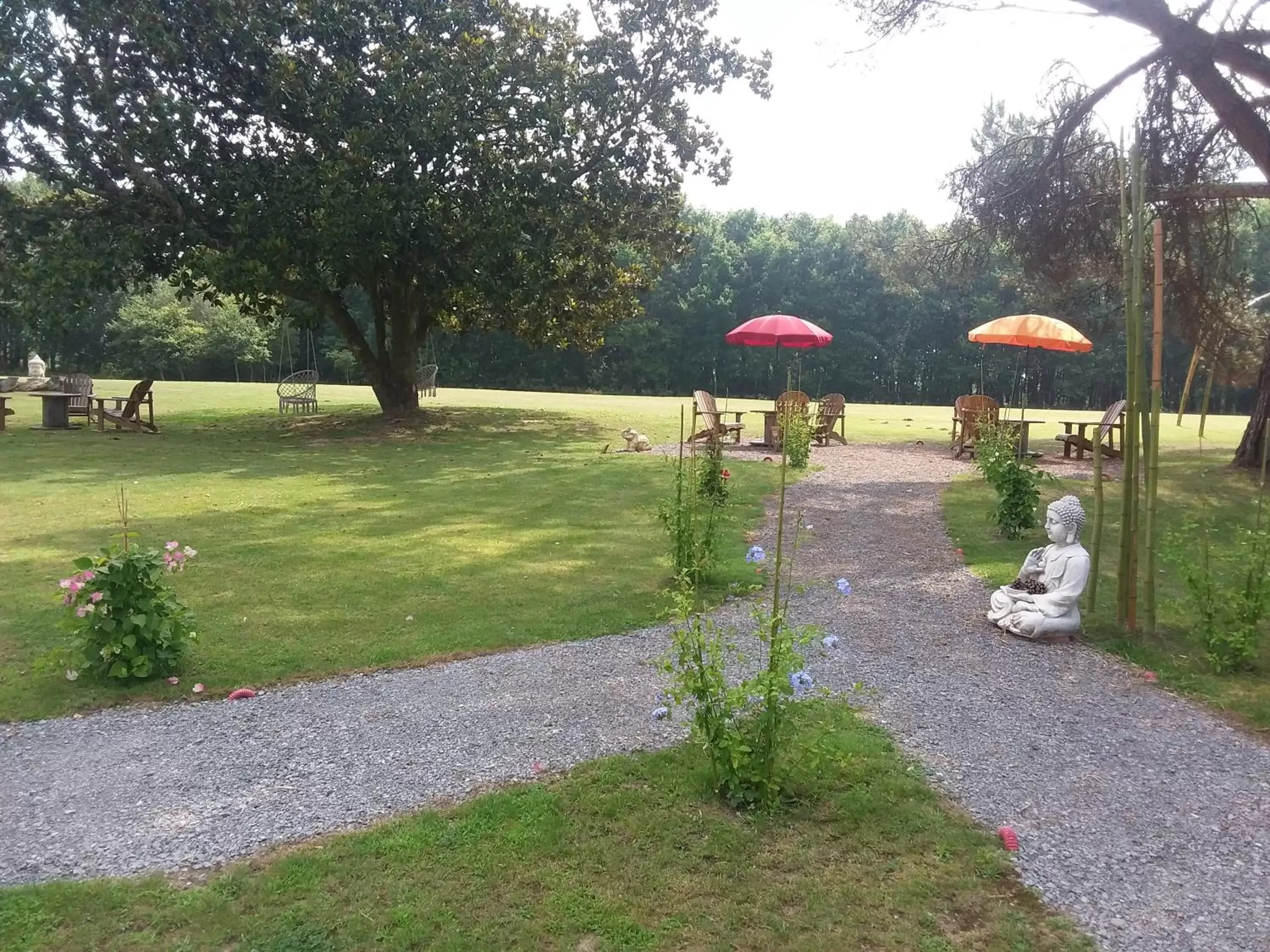 Garden in maison d'hôtes labastide