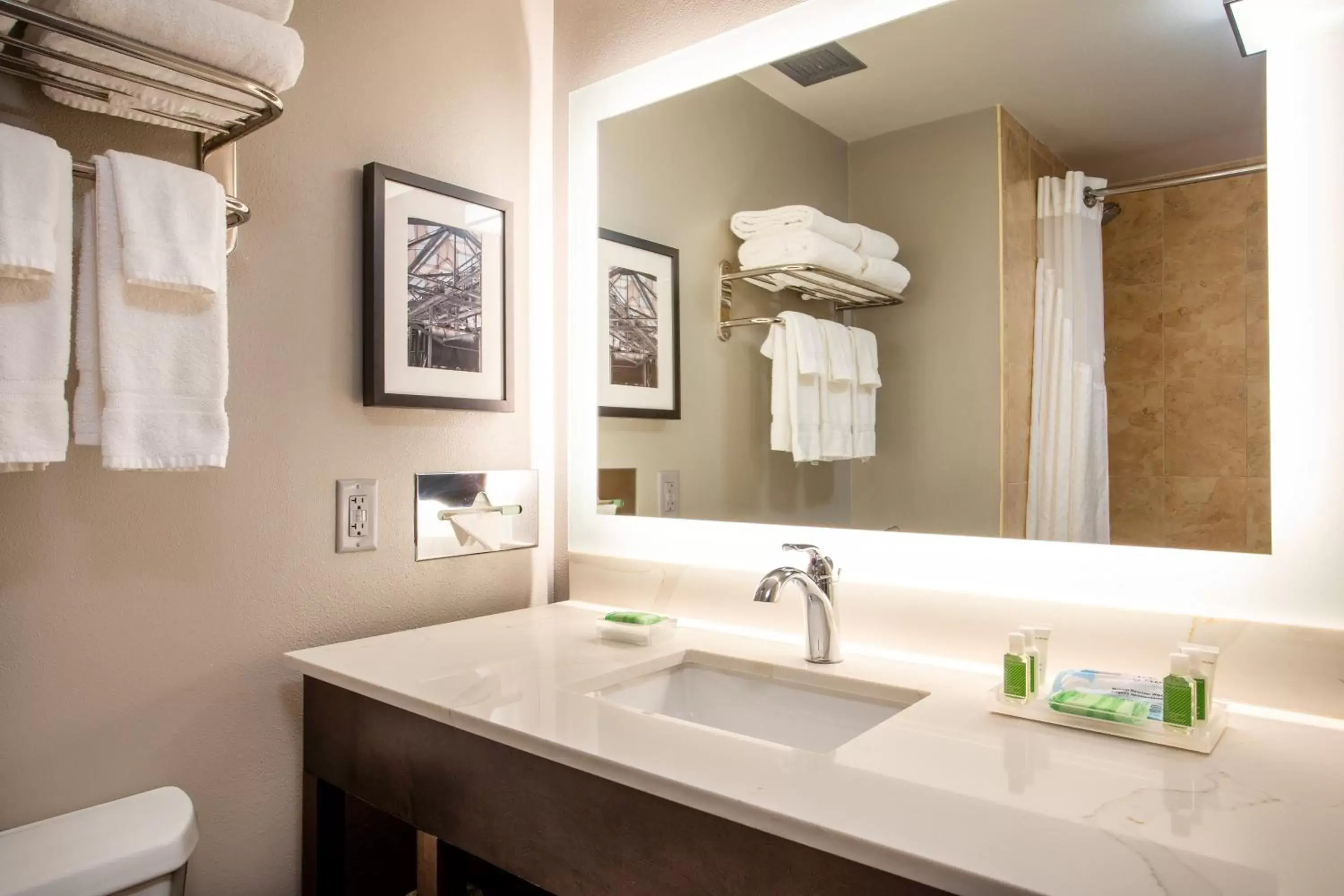 Bathroom in Holiday Inn Valdosta Conference Center, an IHG Hotel