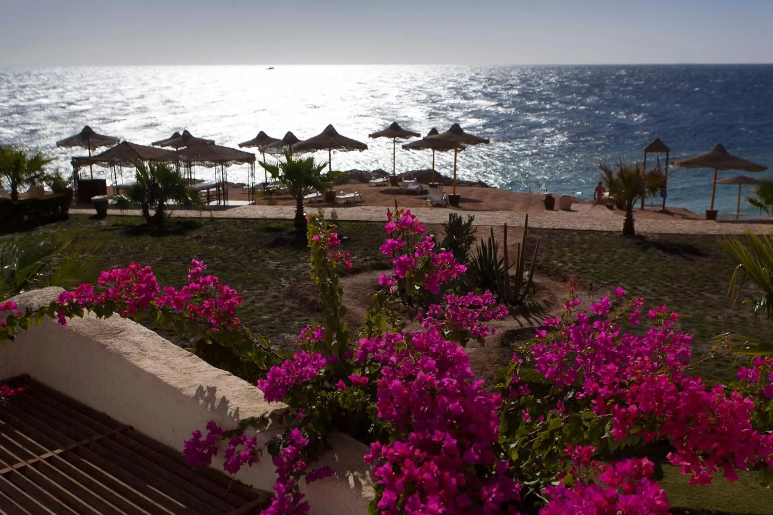 Garden, Sea View in Sharm Club Beach Resort