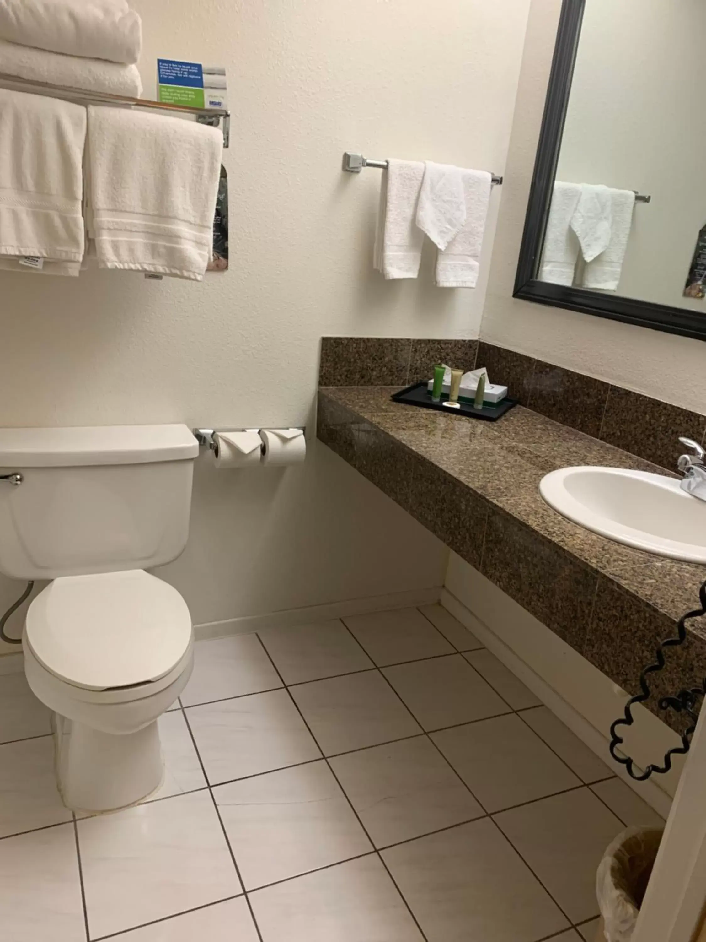 Bathroom in Miracle Springs Resort and Spa