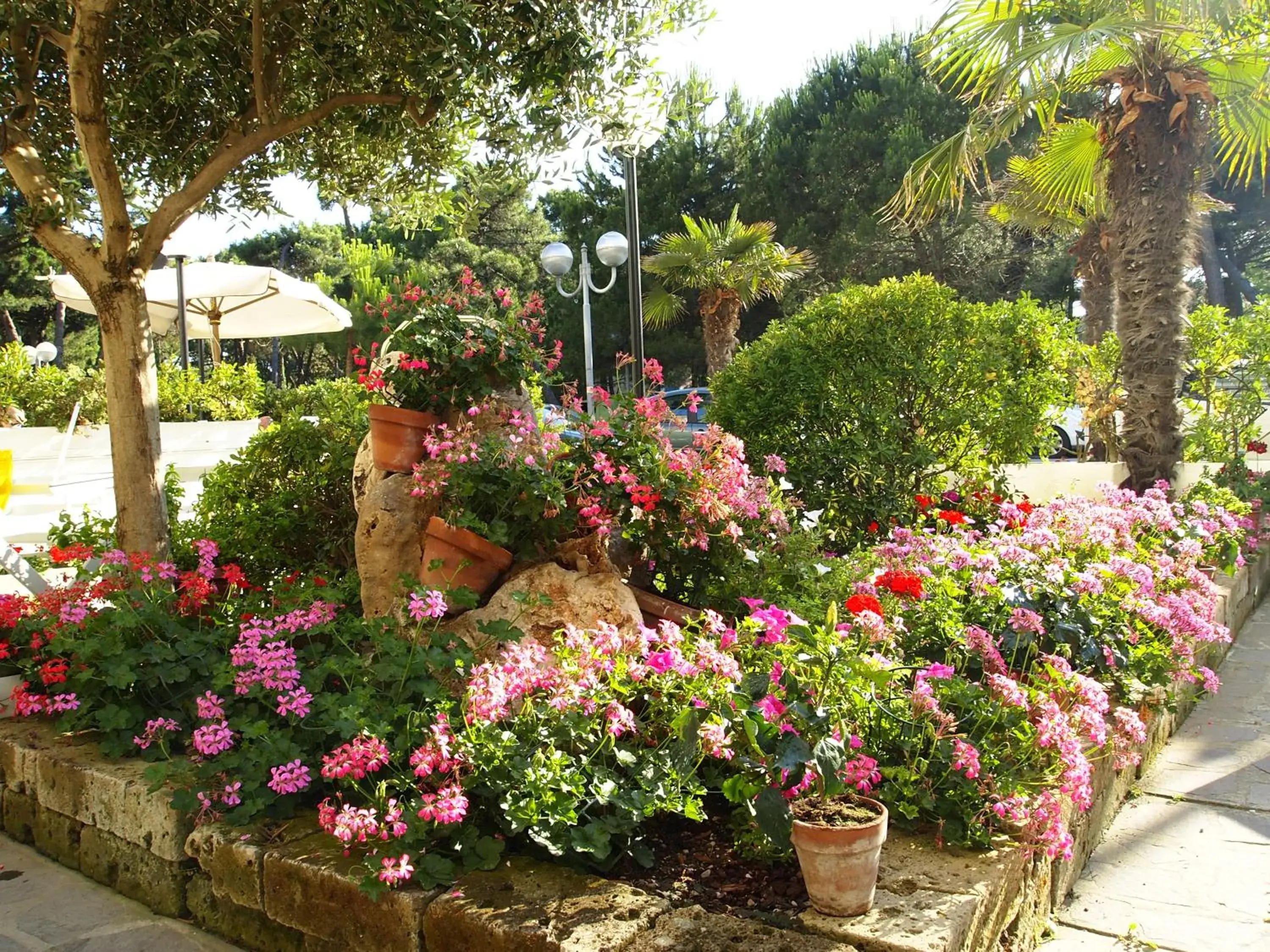Garden in Hotel Ridolfi